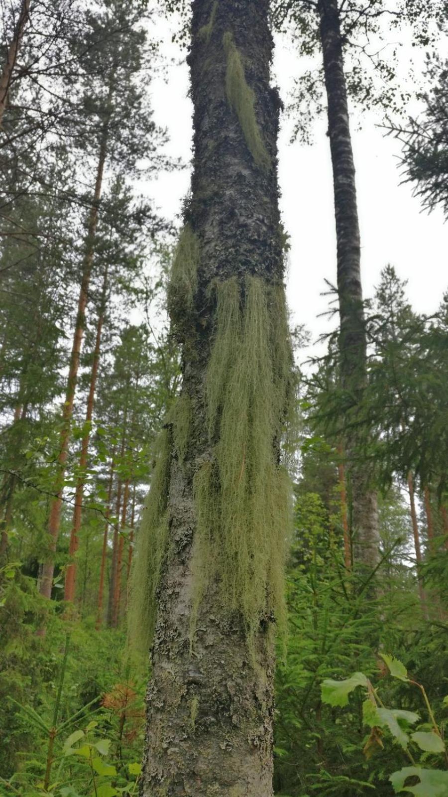 Photo 53