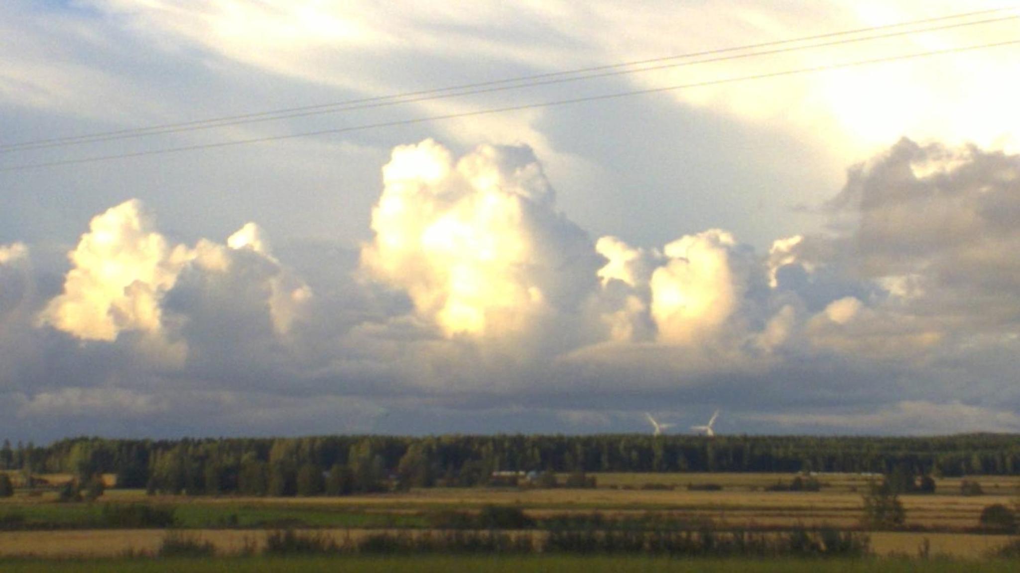 Photo 59