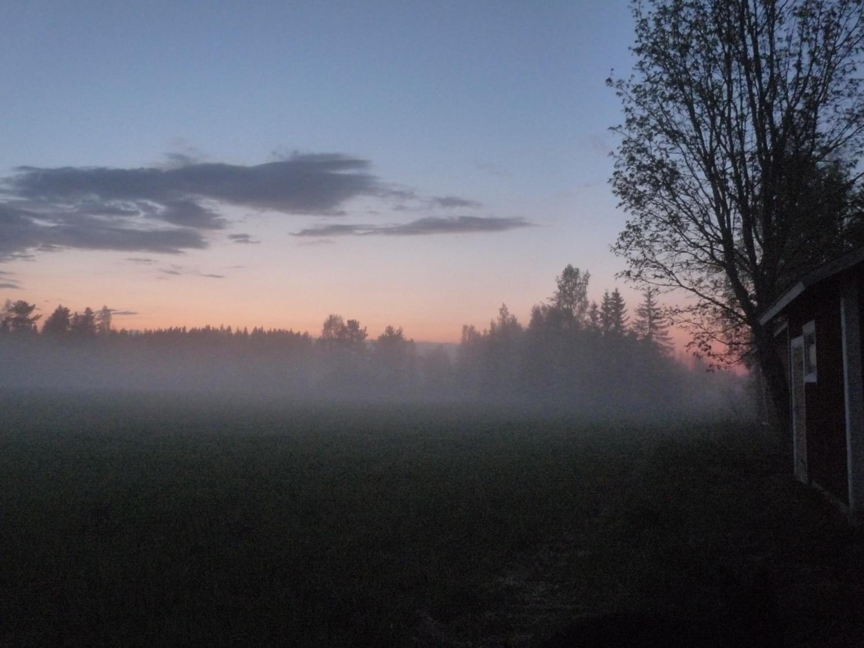 Photo 79