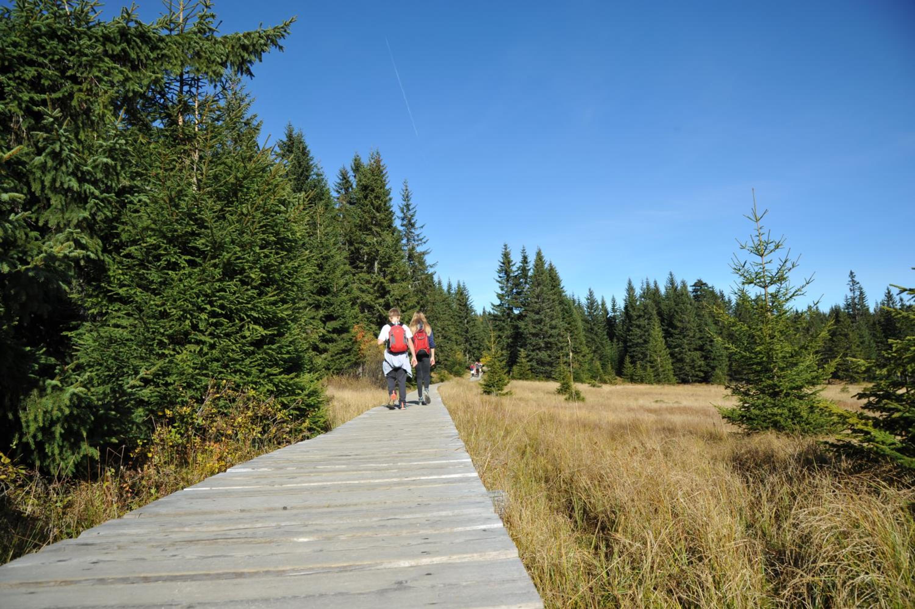 Photo 30