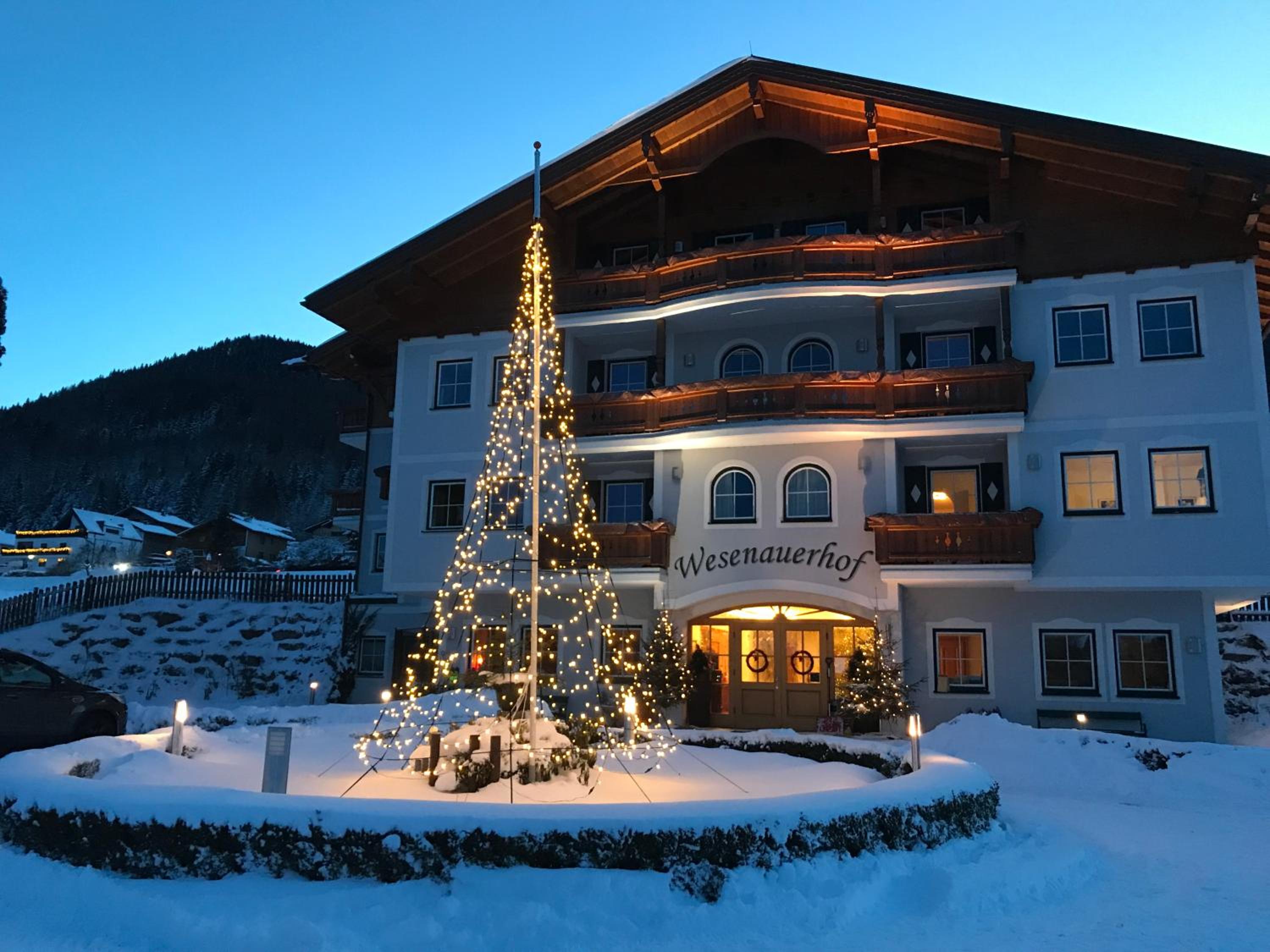 Apart-Pension Wesenauerhof