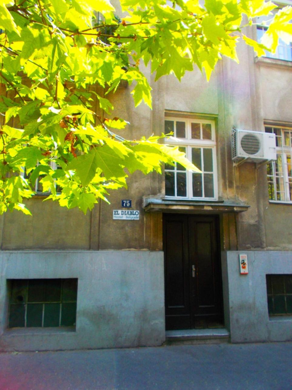 Photo 51