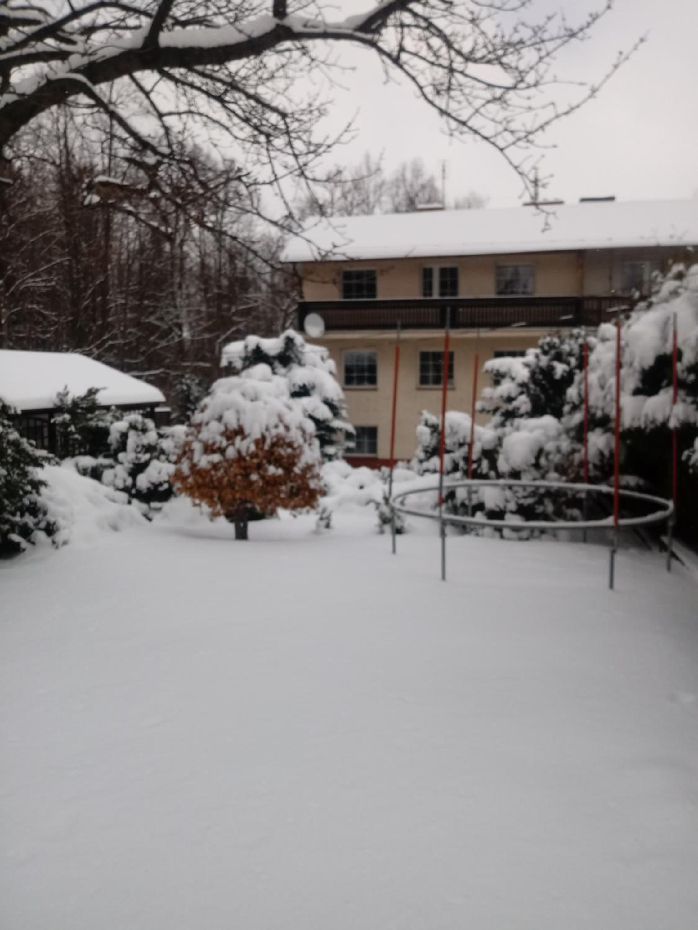 Photo 7