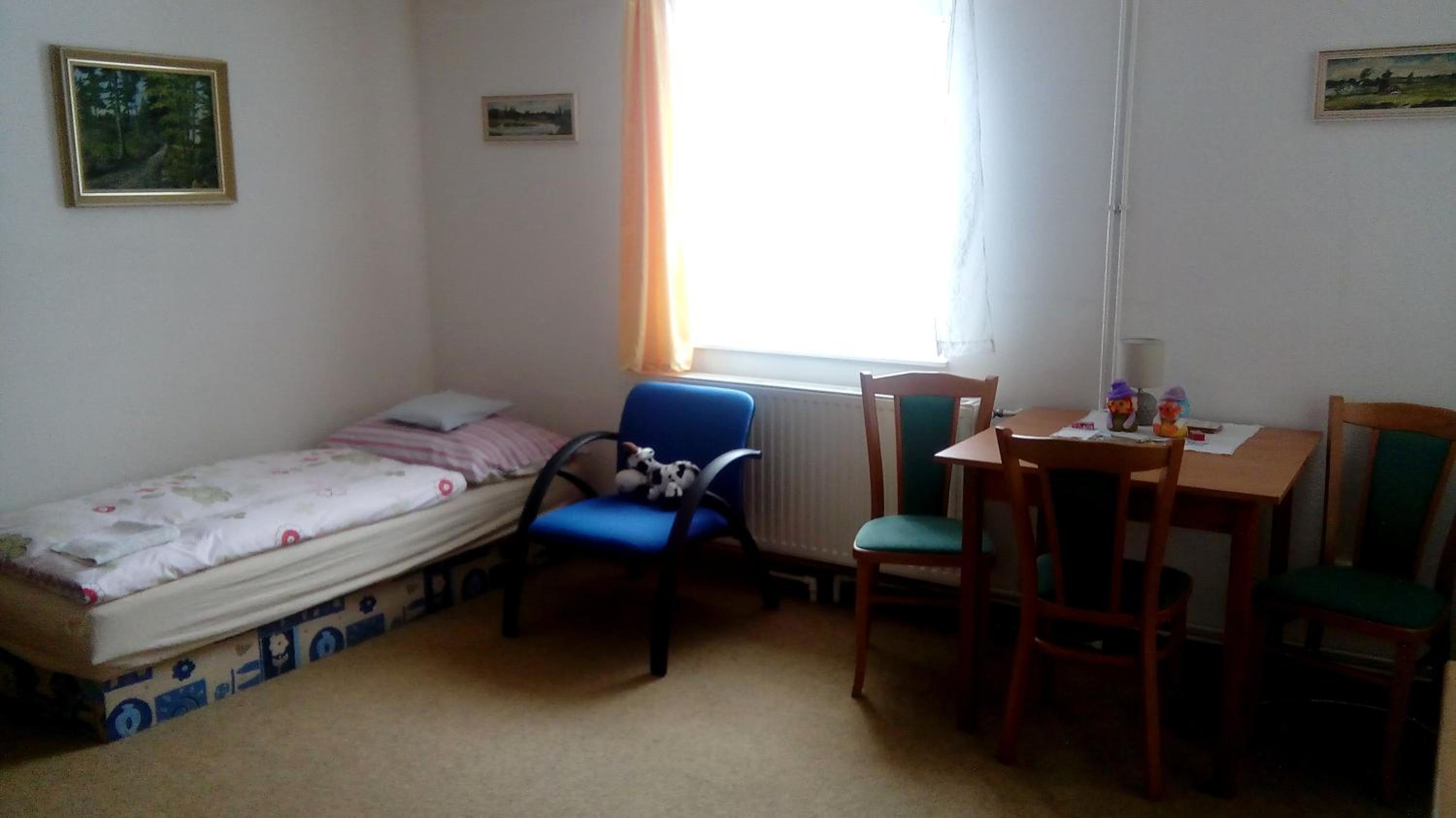 Penzion Edelštejn