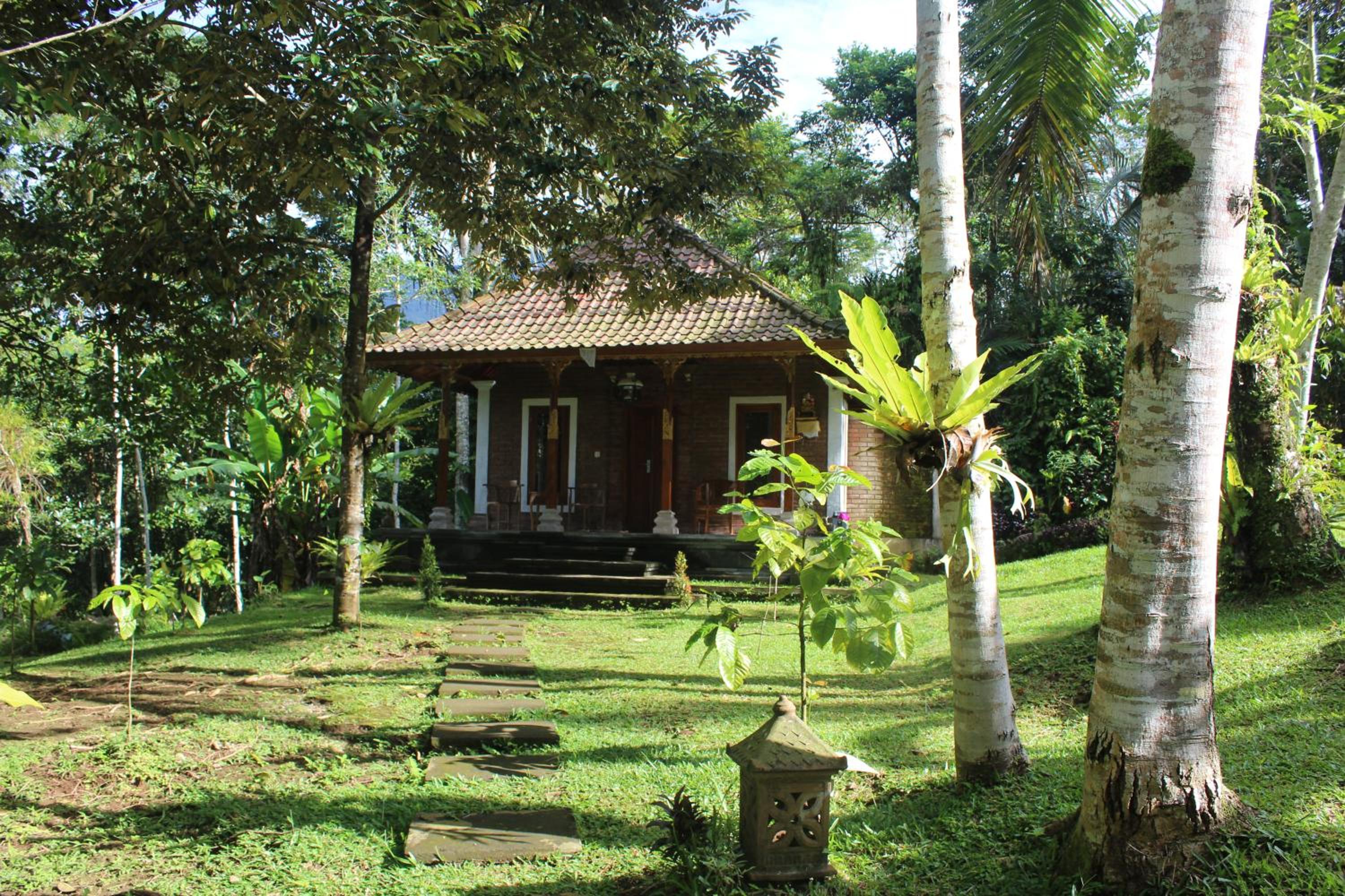 Photo 40