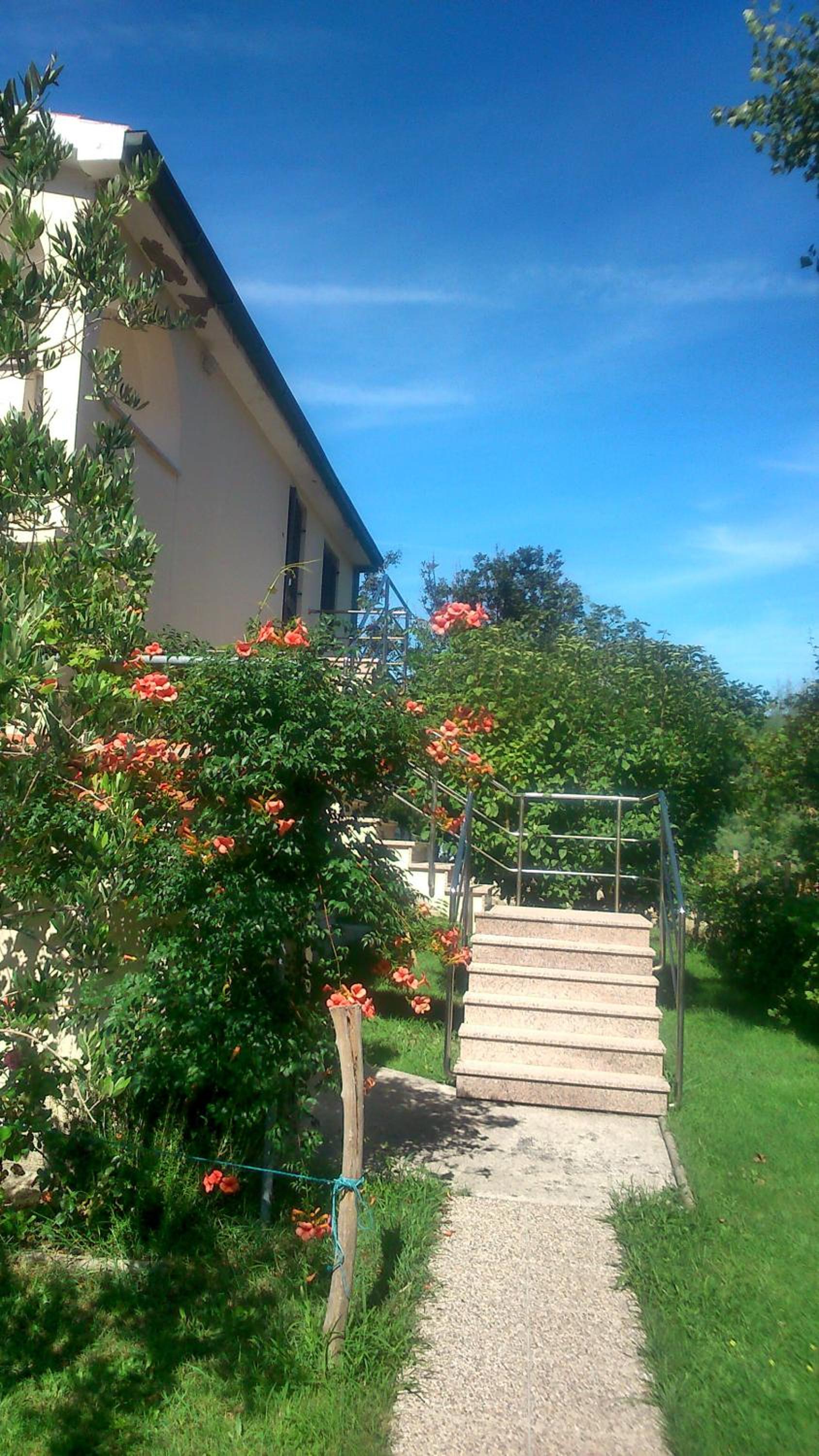 Photo 35