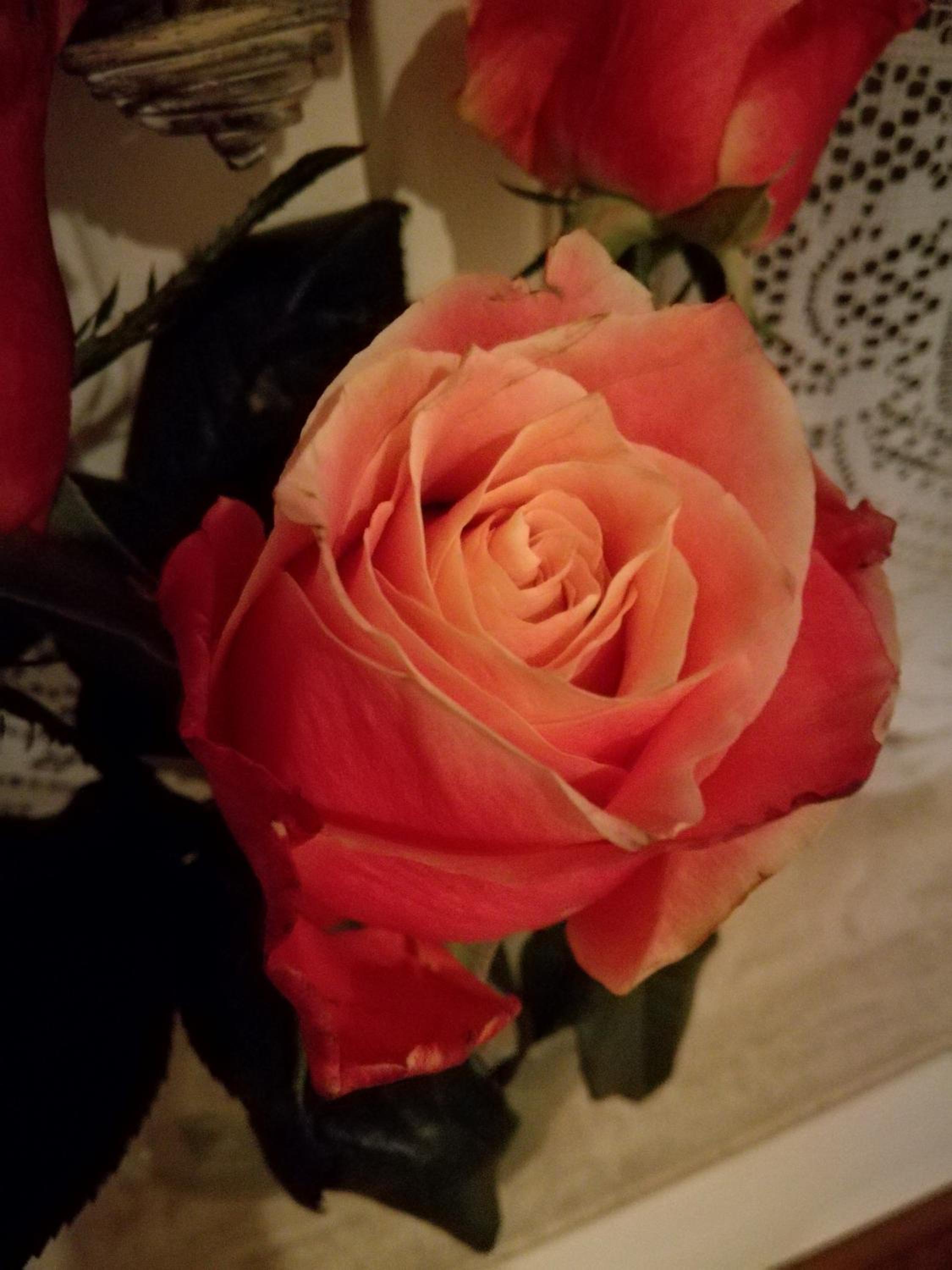 La Rose