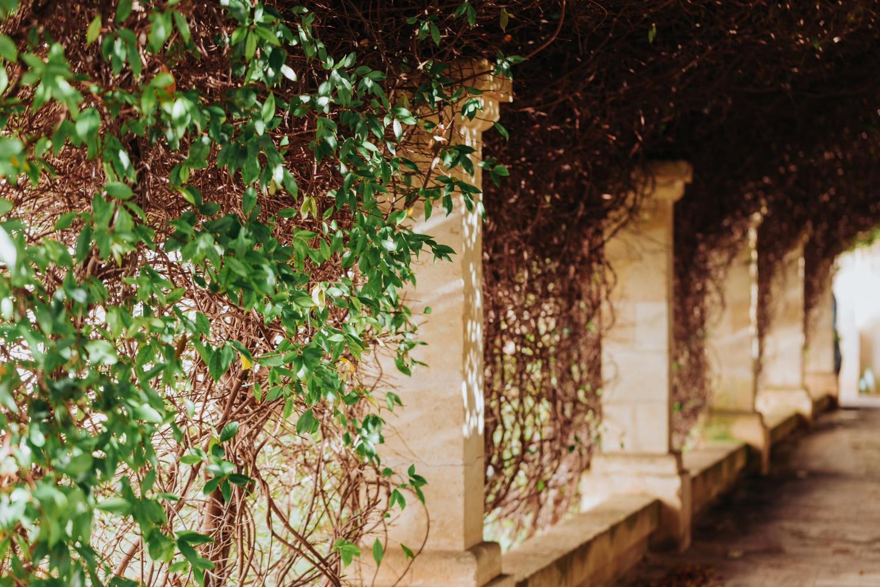 Masseria Ancella
