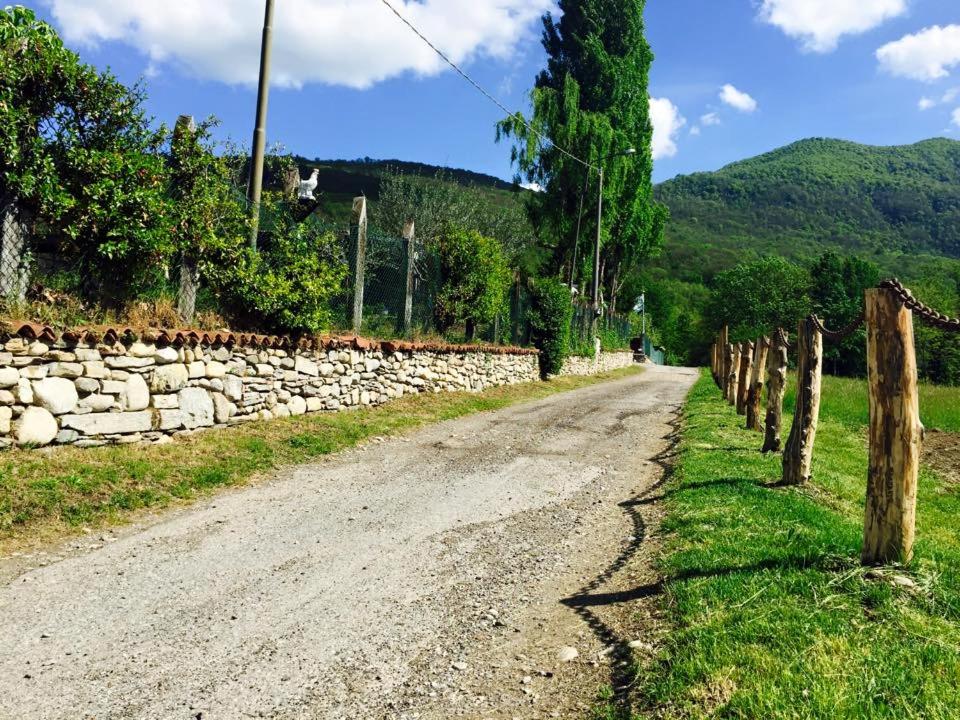 Agriturismo La Betulla