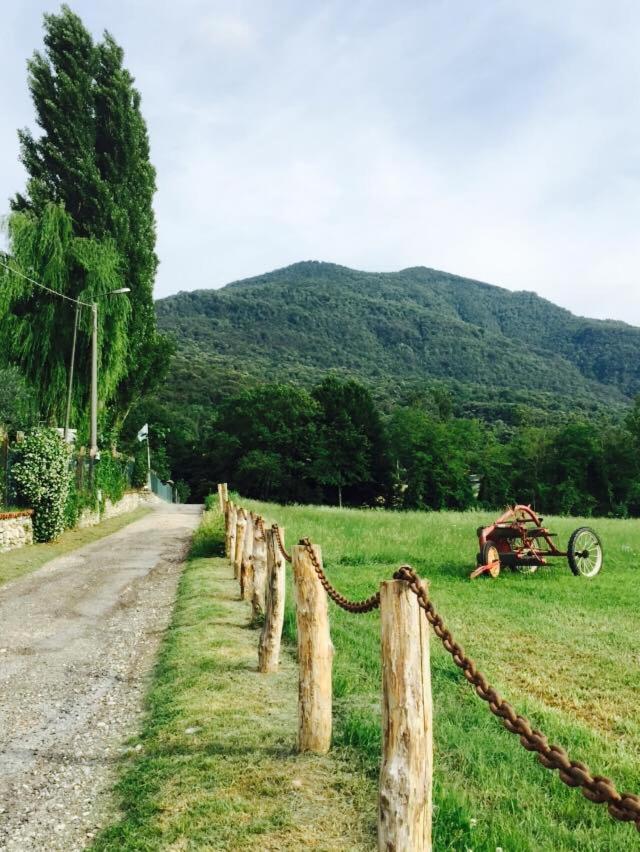 Agriturismo La Betulla