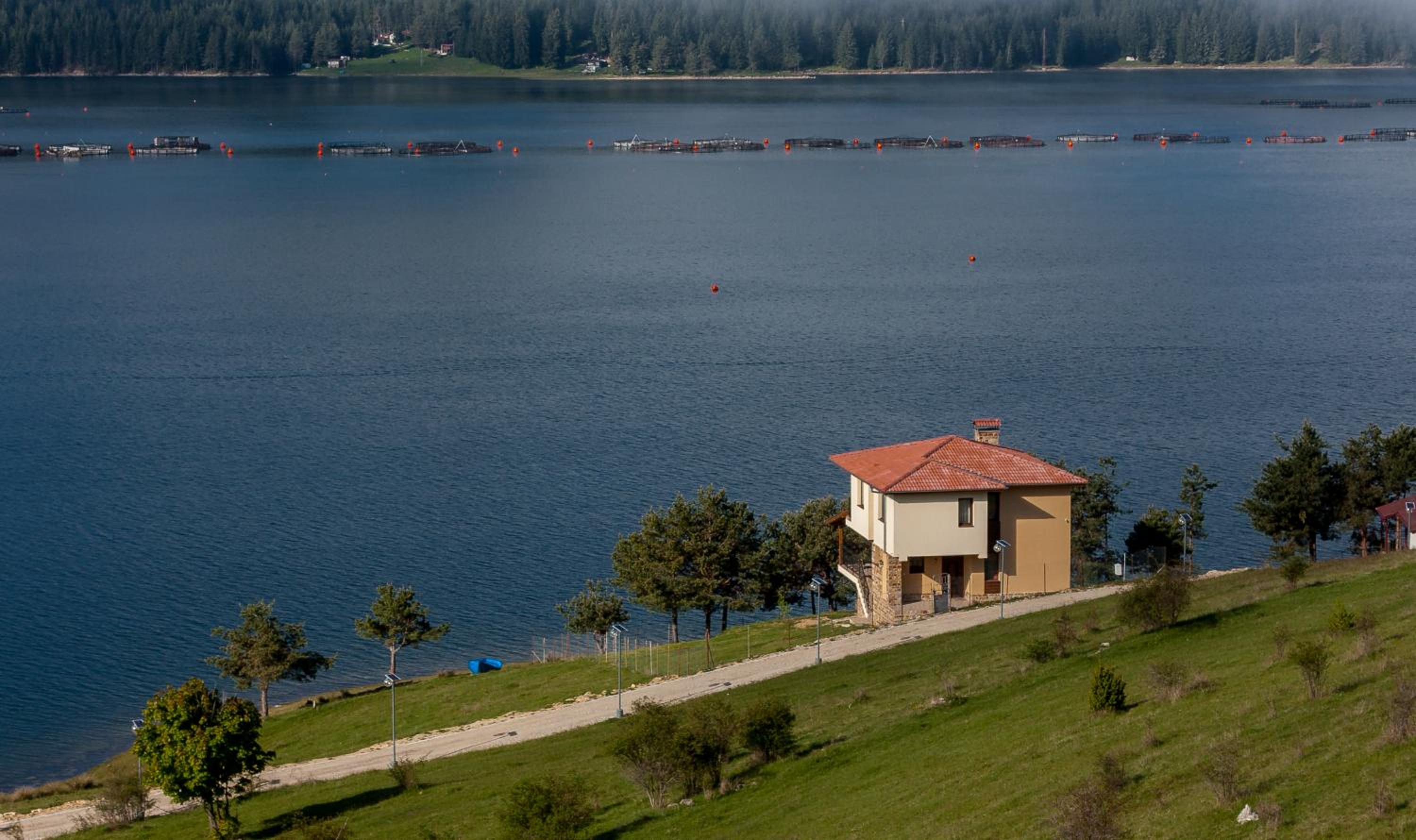 Divna Forest & Lake House