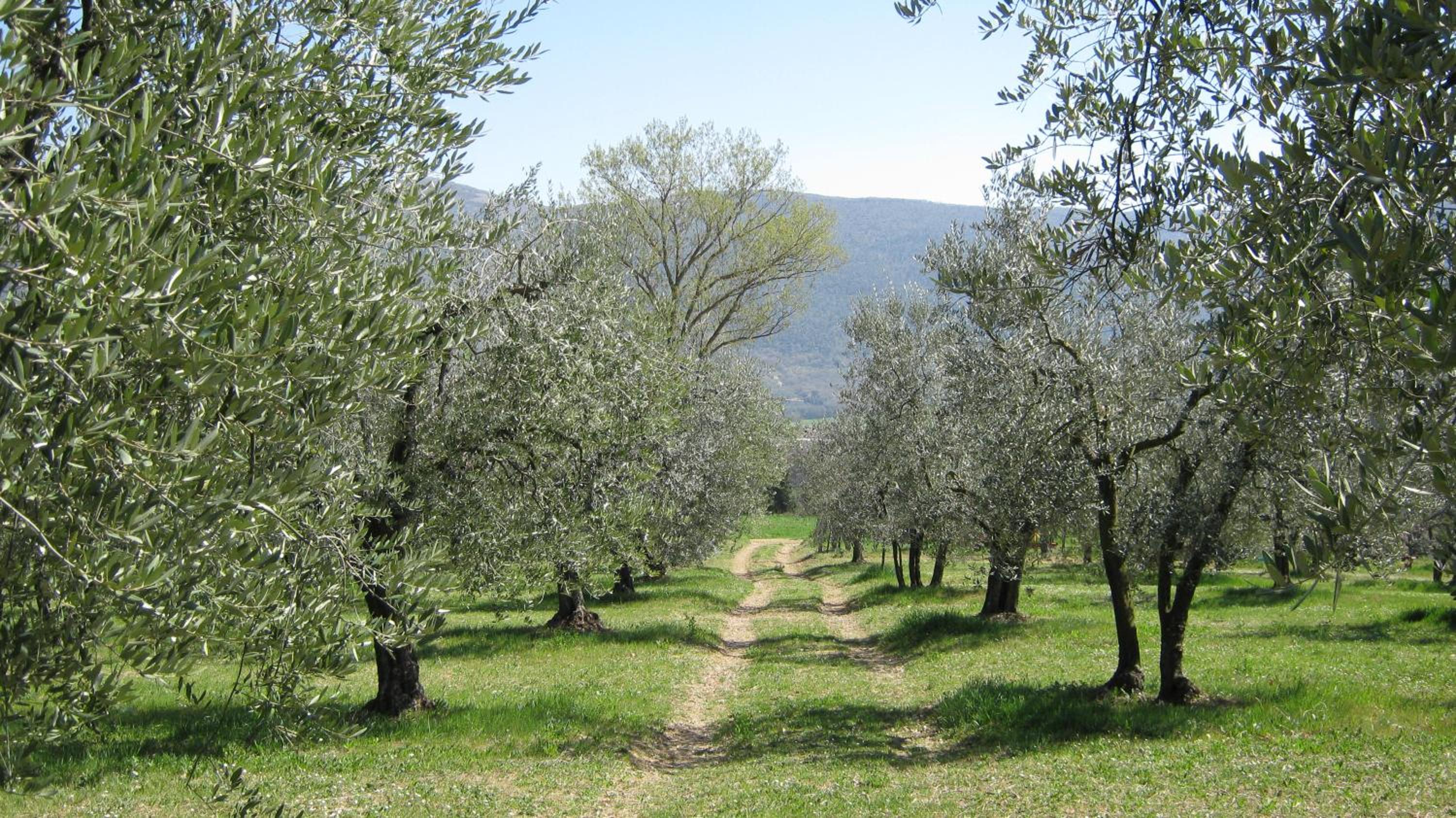 Il Casaletto di Simonetta
