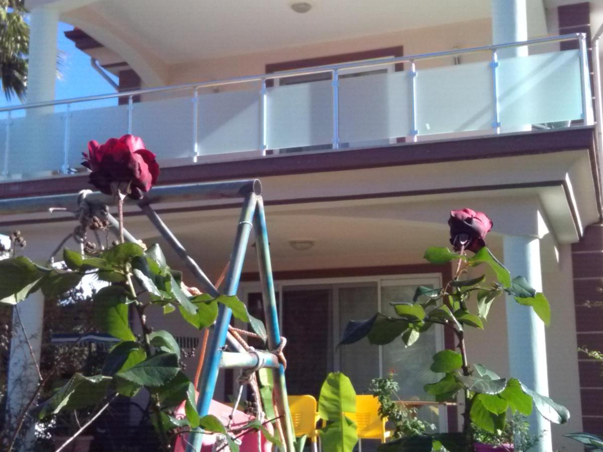 Photo 21