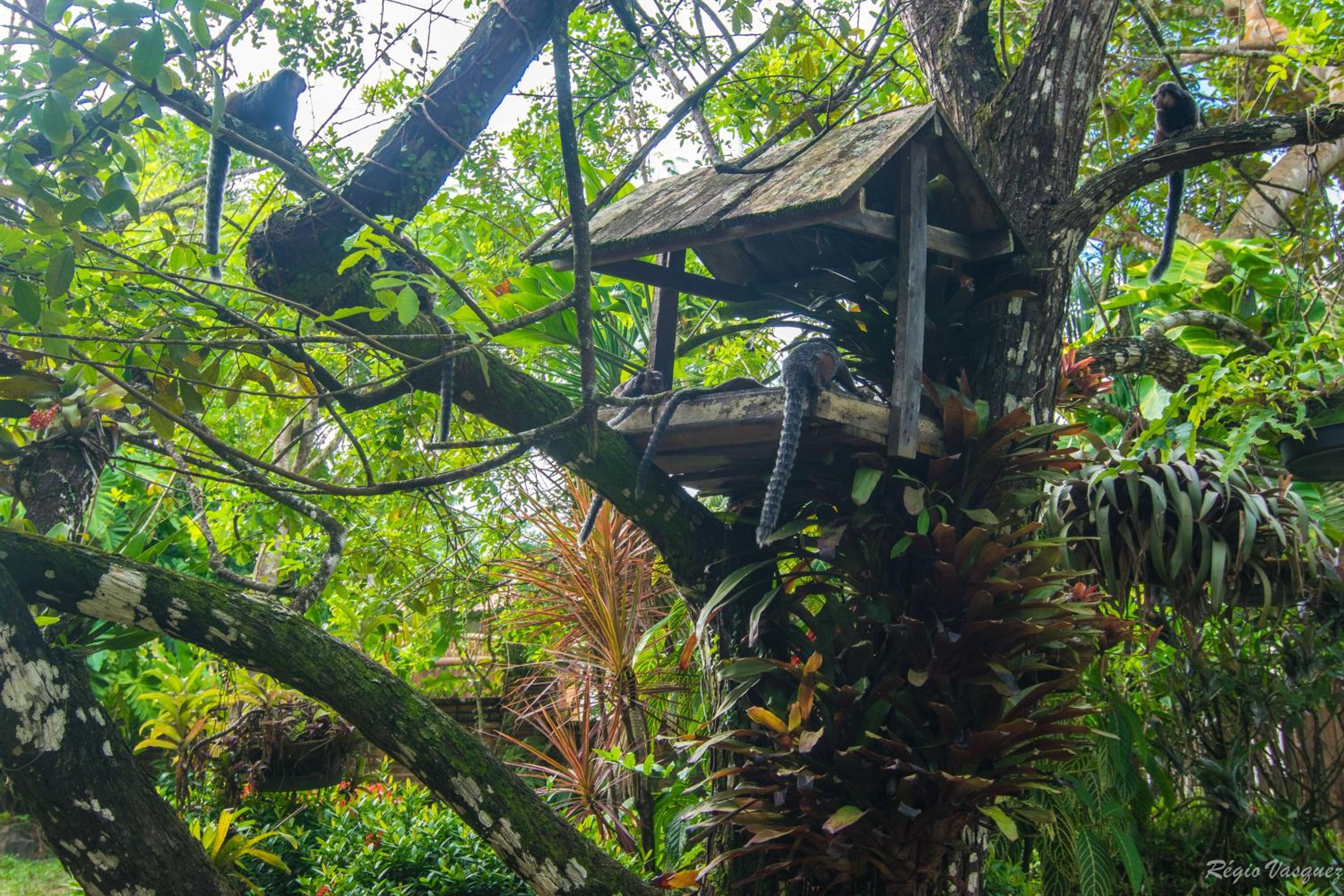 Pousada Atlântica
