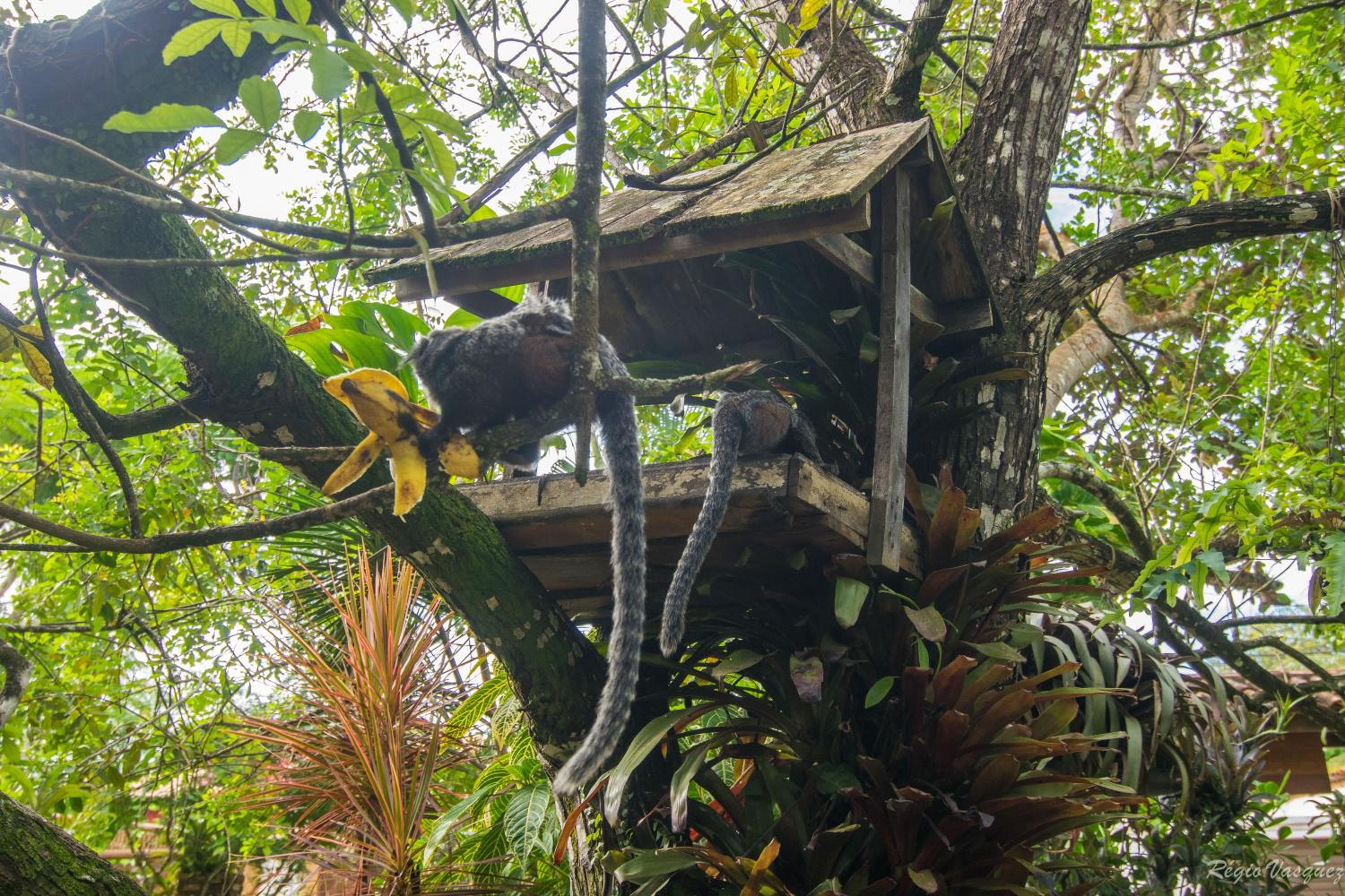 Pousada Atlântica