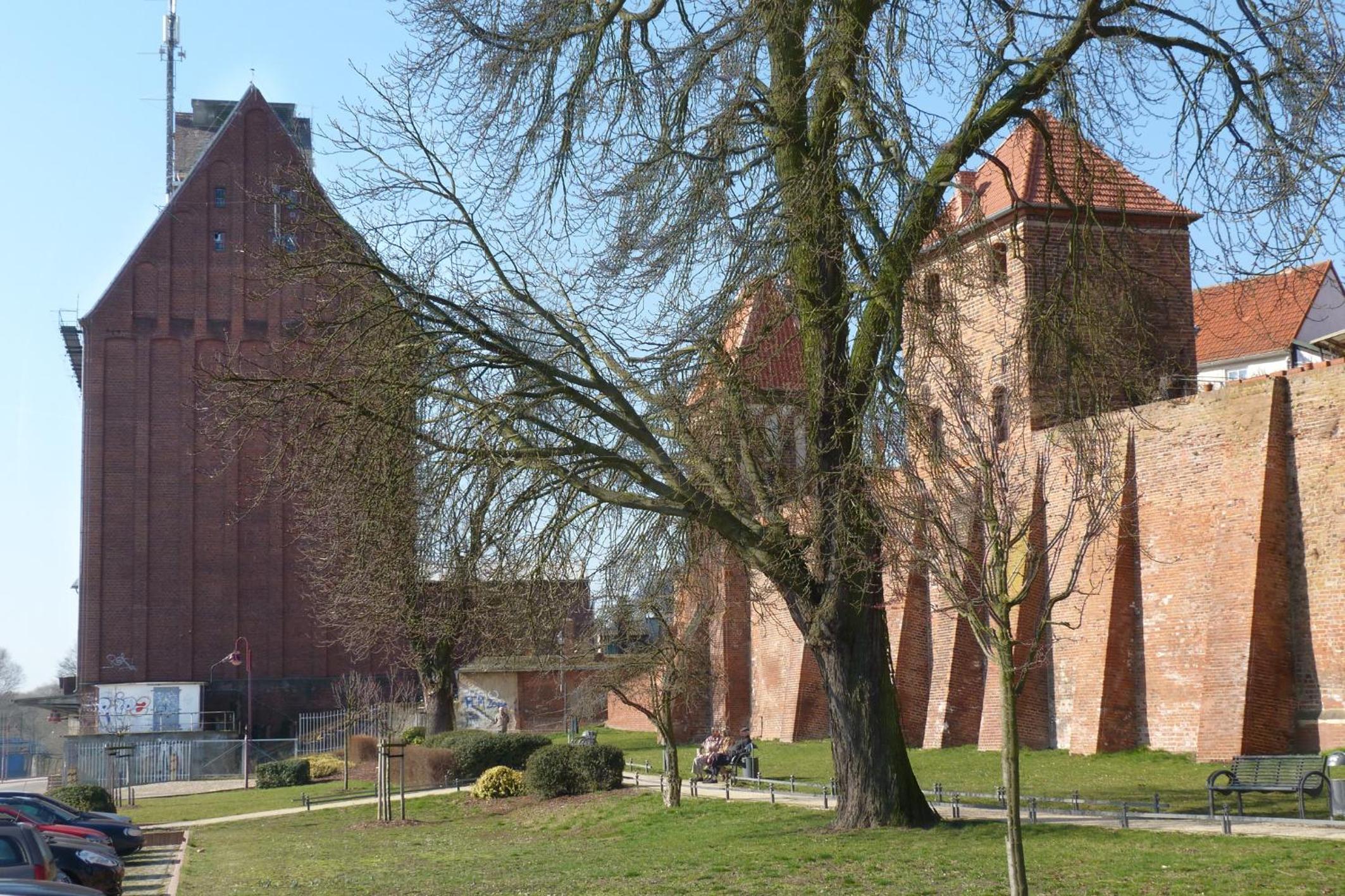 Photo 26