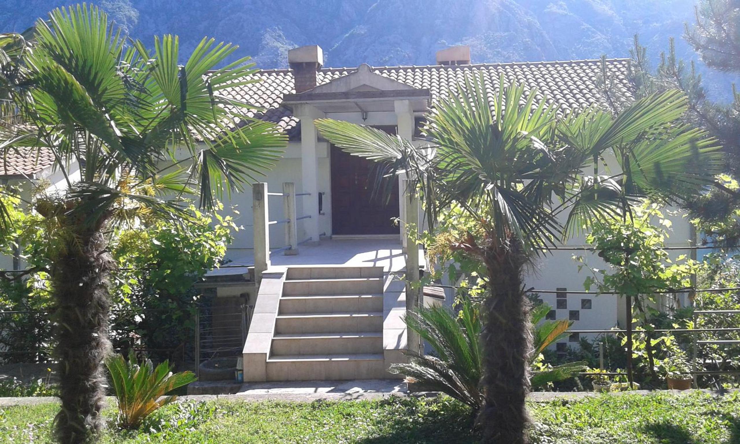 Apartment Sasha
