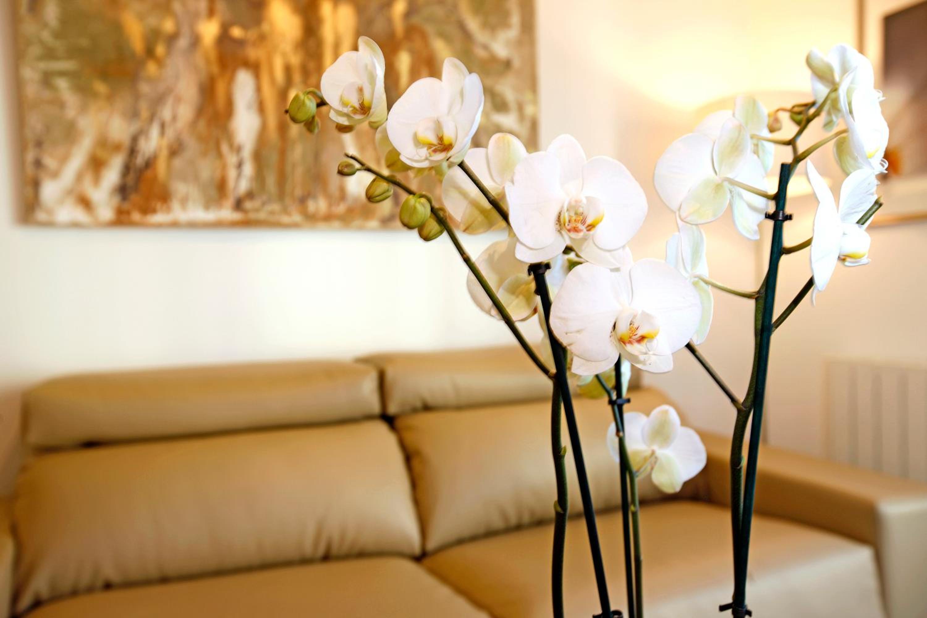 Madrid Centric Suites