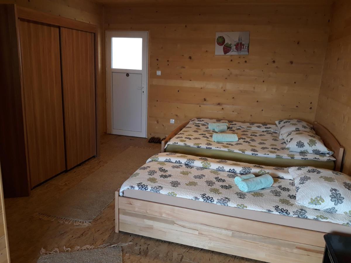 Photo 42