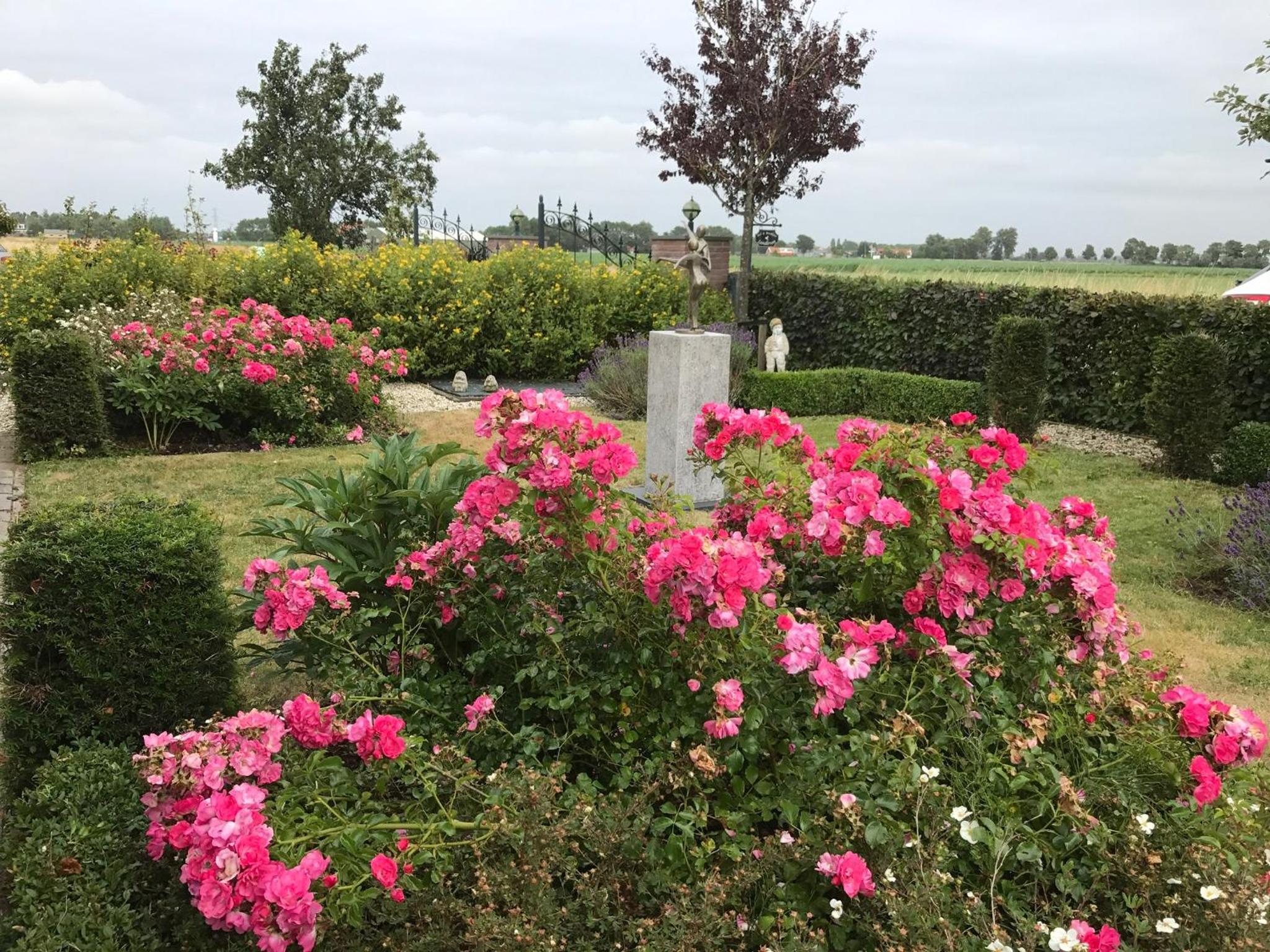 B&B Landleven view 5