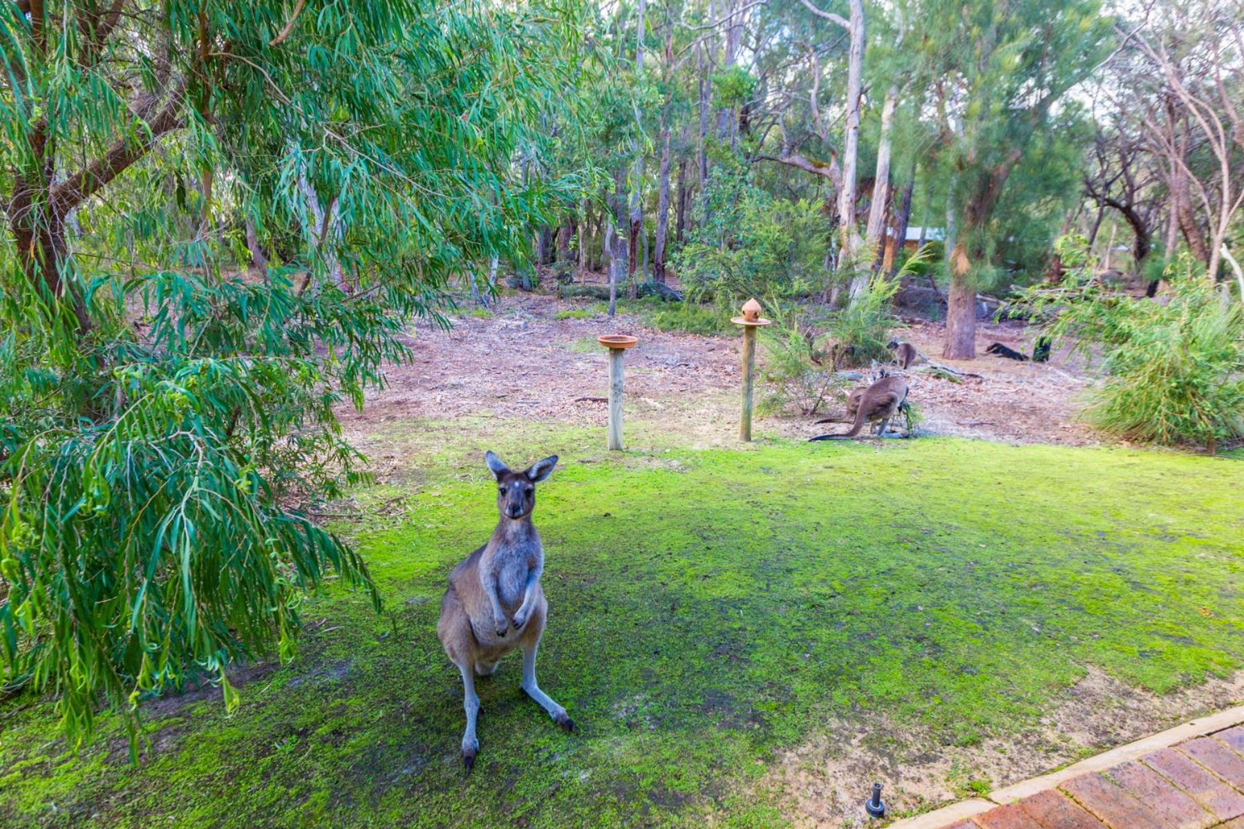 Yelverton Brook Conservation Sanctuary