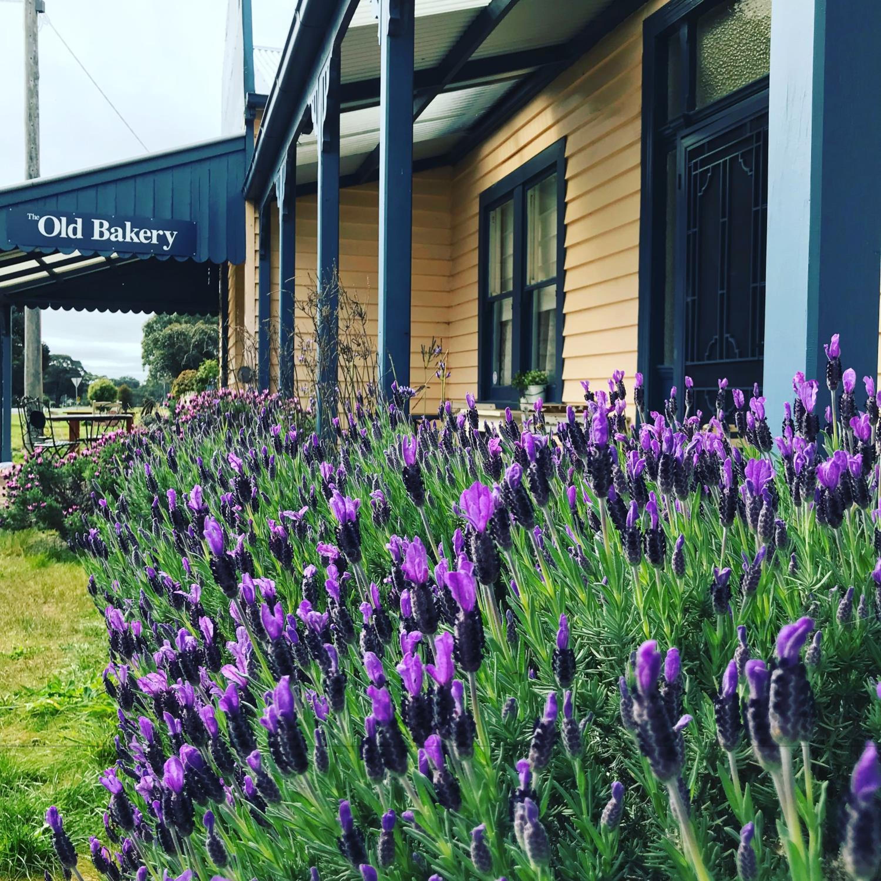 Dunkeld Old Bakery Accommodations - Property Image 7