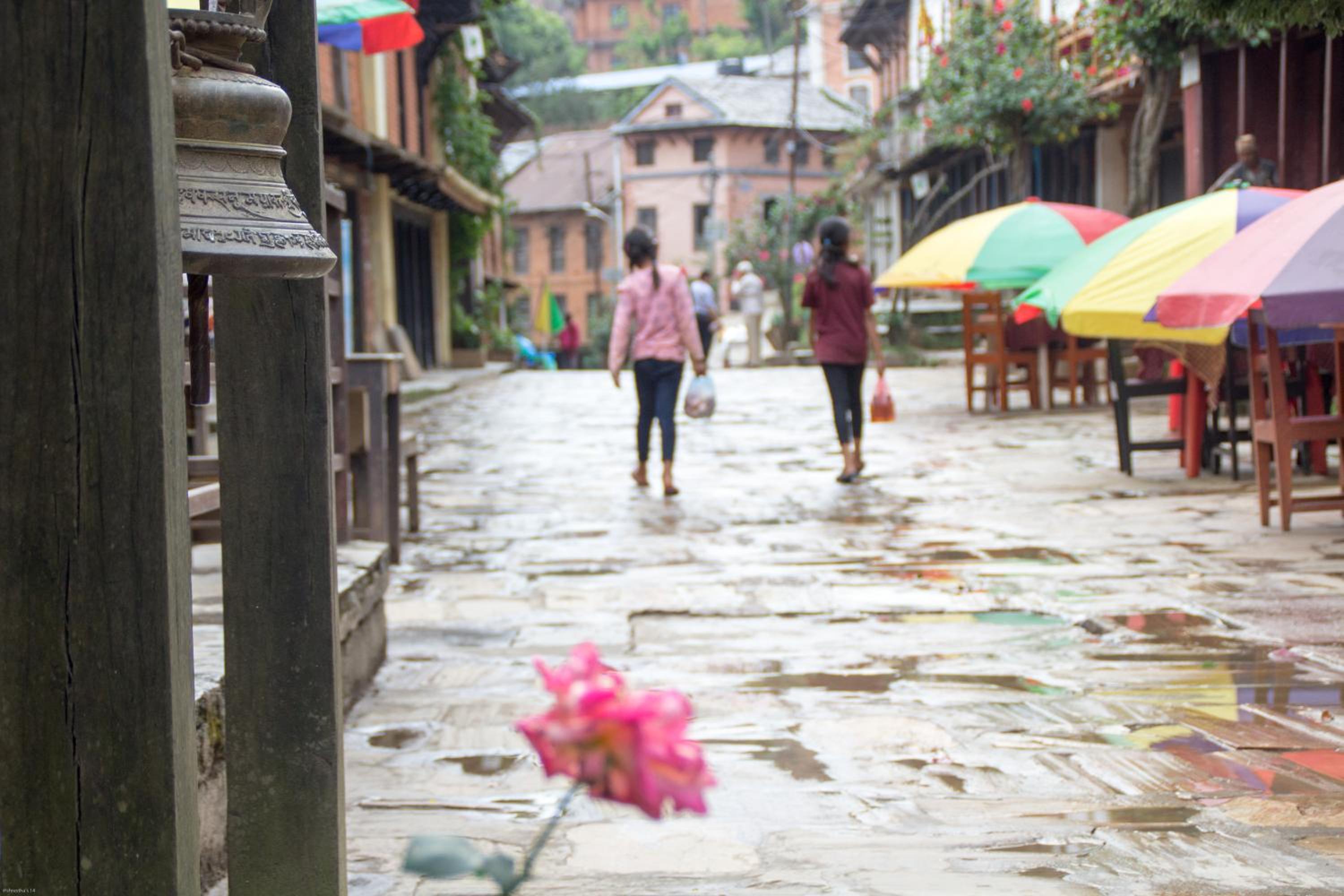 Bandipur Kaushi Inn