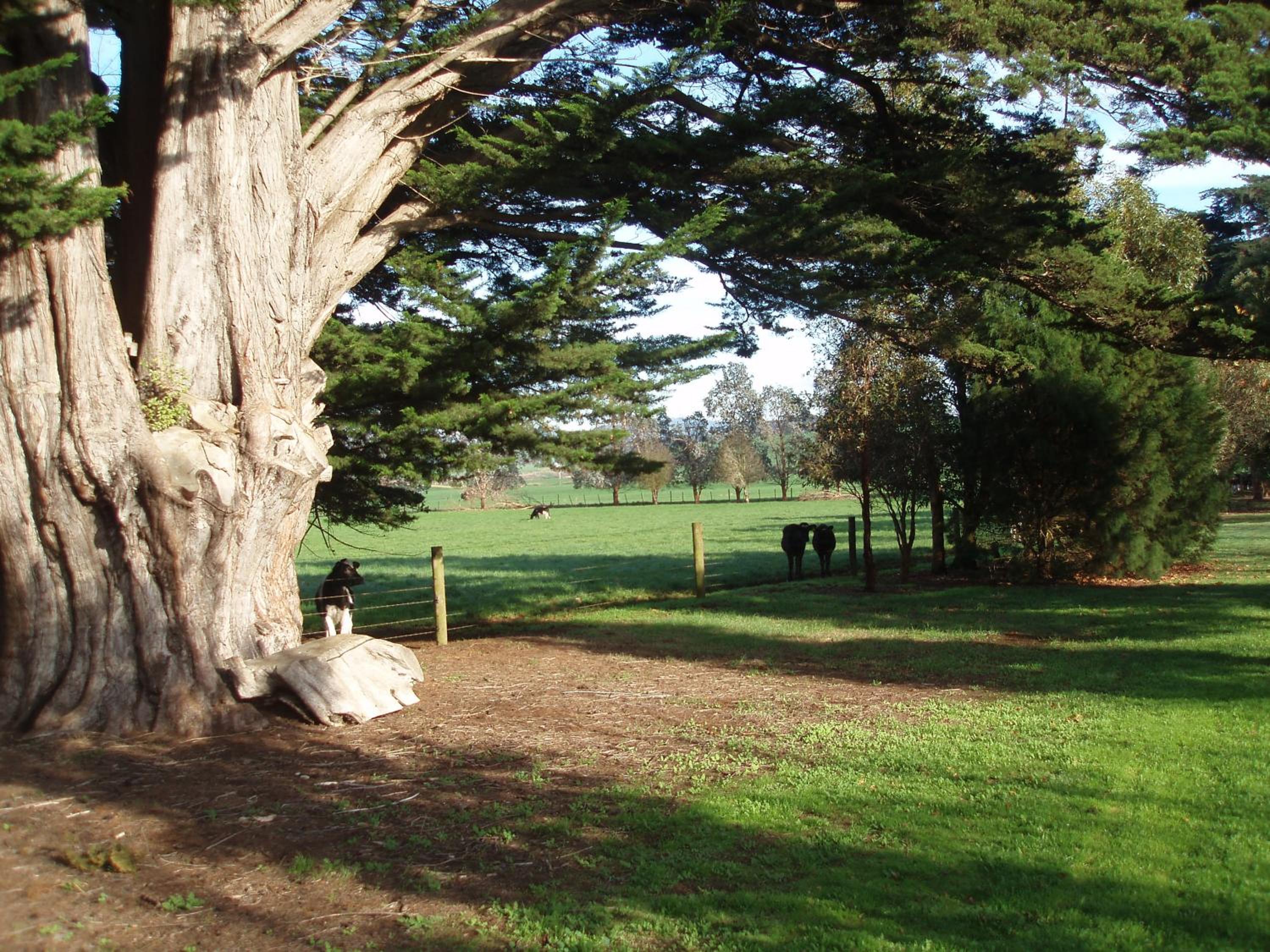 Boat Harbour Garden Cottages