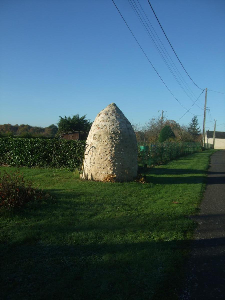 Photo 15