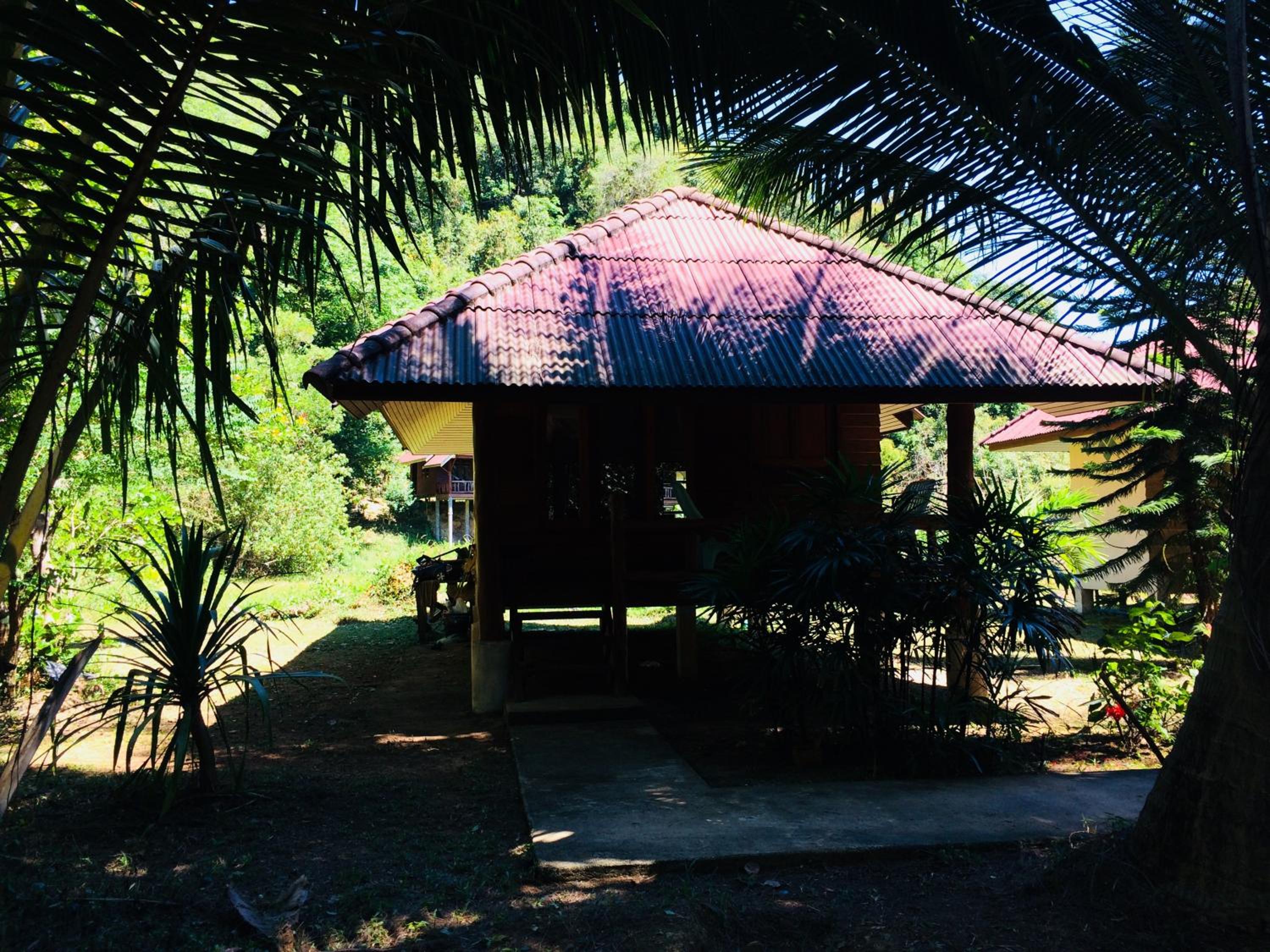 Photo 46