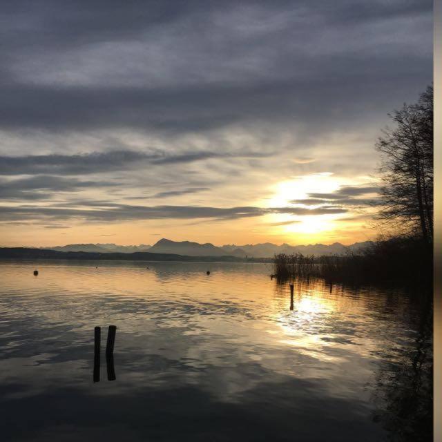 B&B Friedau