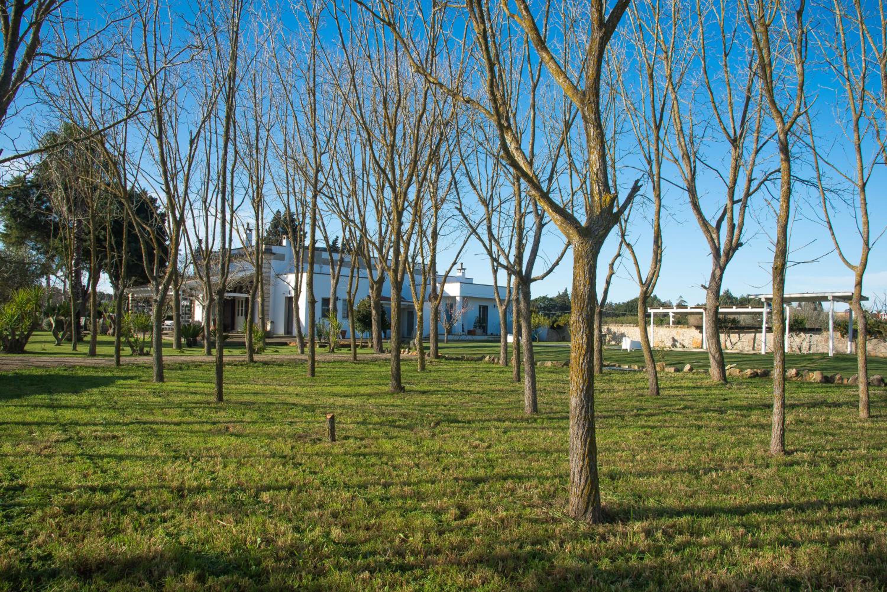 Dimora Del Duca coyntry Lecce, masseria b&b