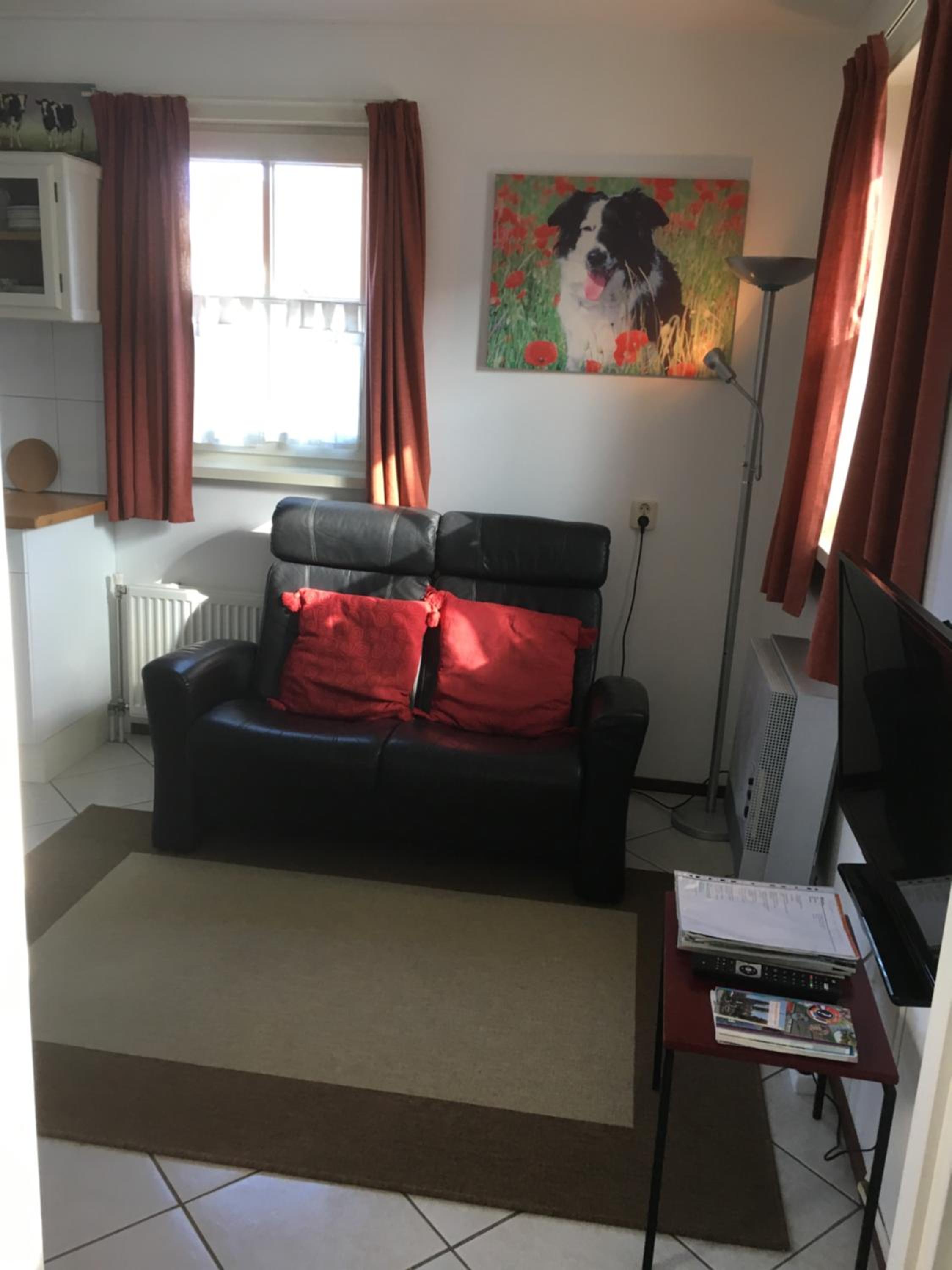 Photo 6