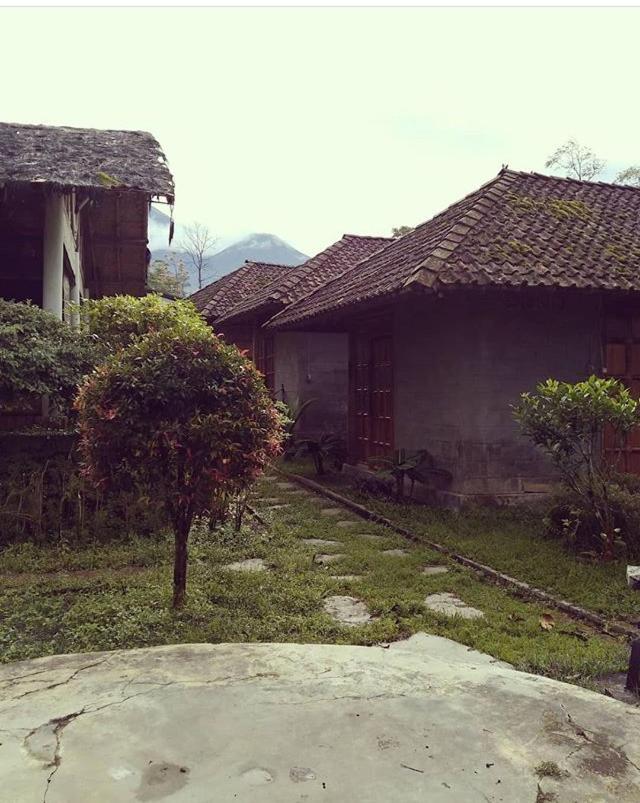 Pondok Bamboo Sendangsari view 2