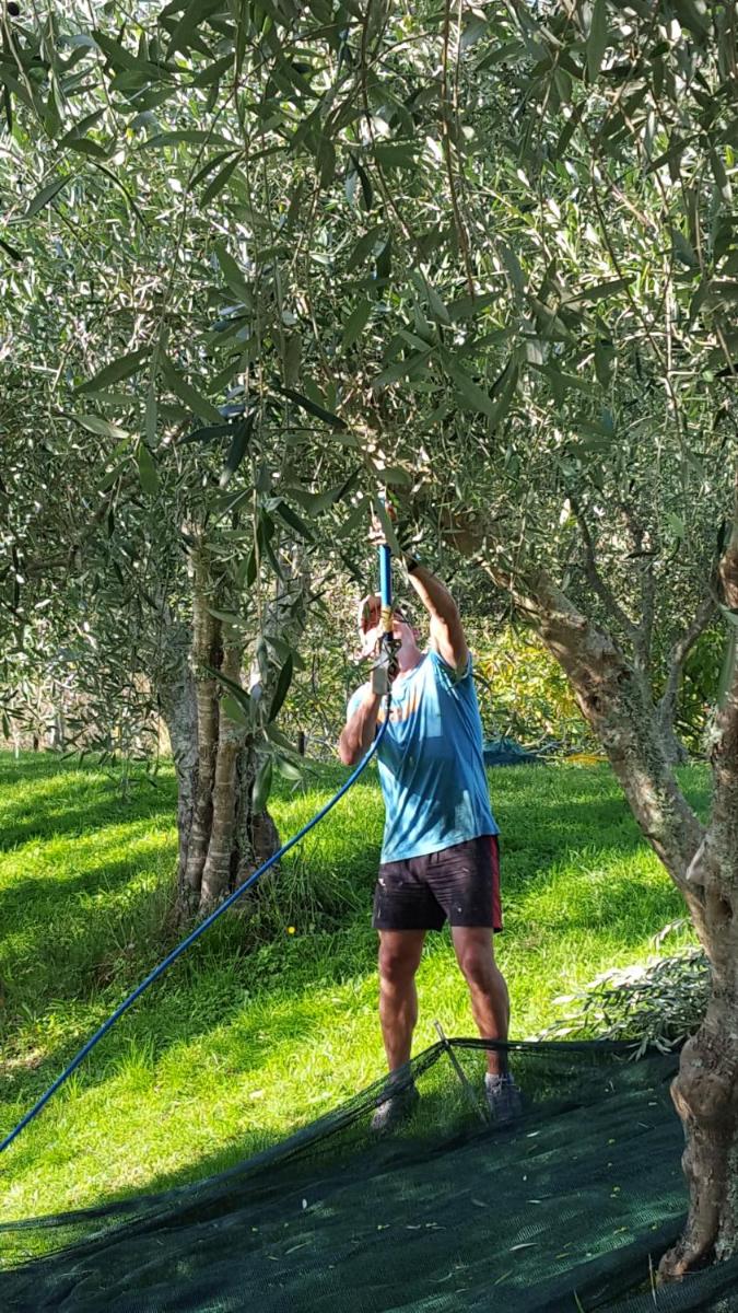 Photo 22
