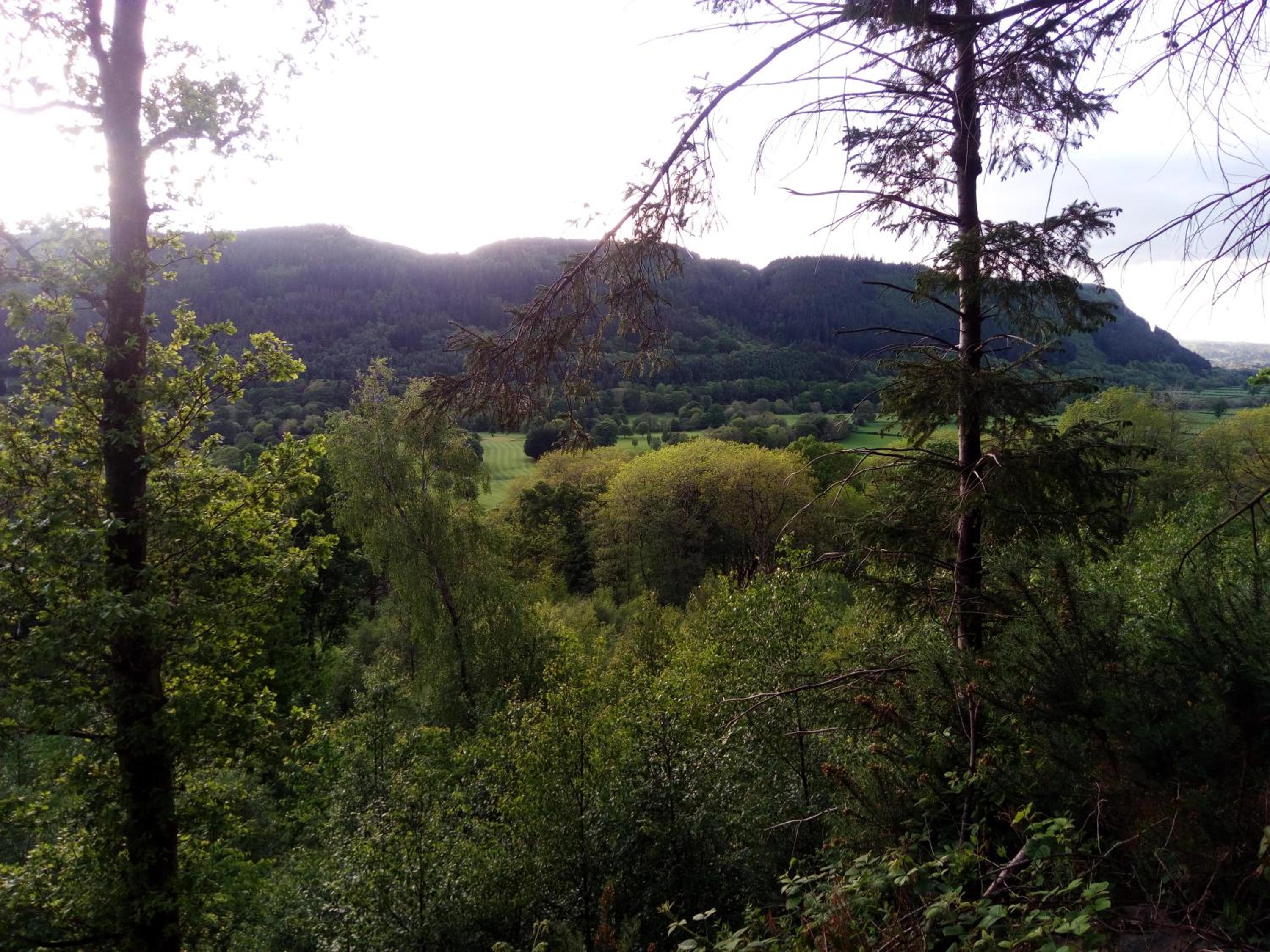 Aberconwy House B&B