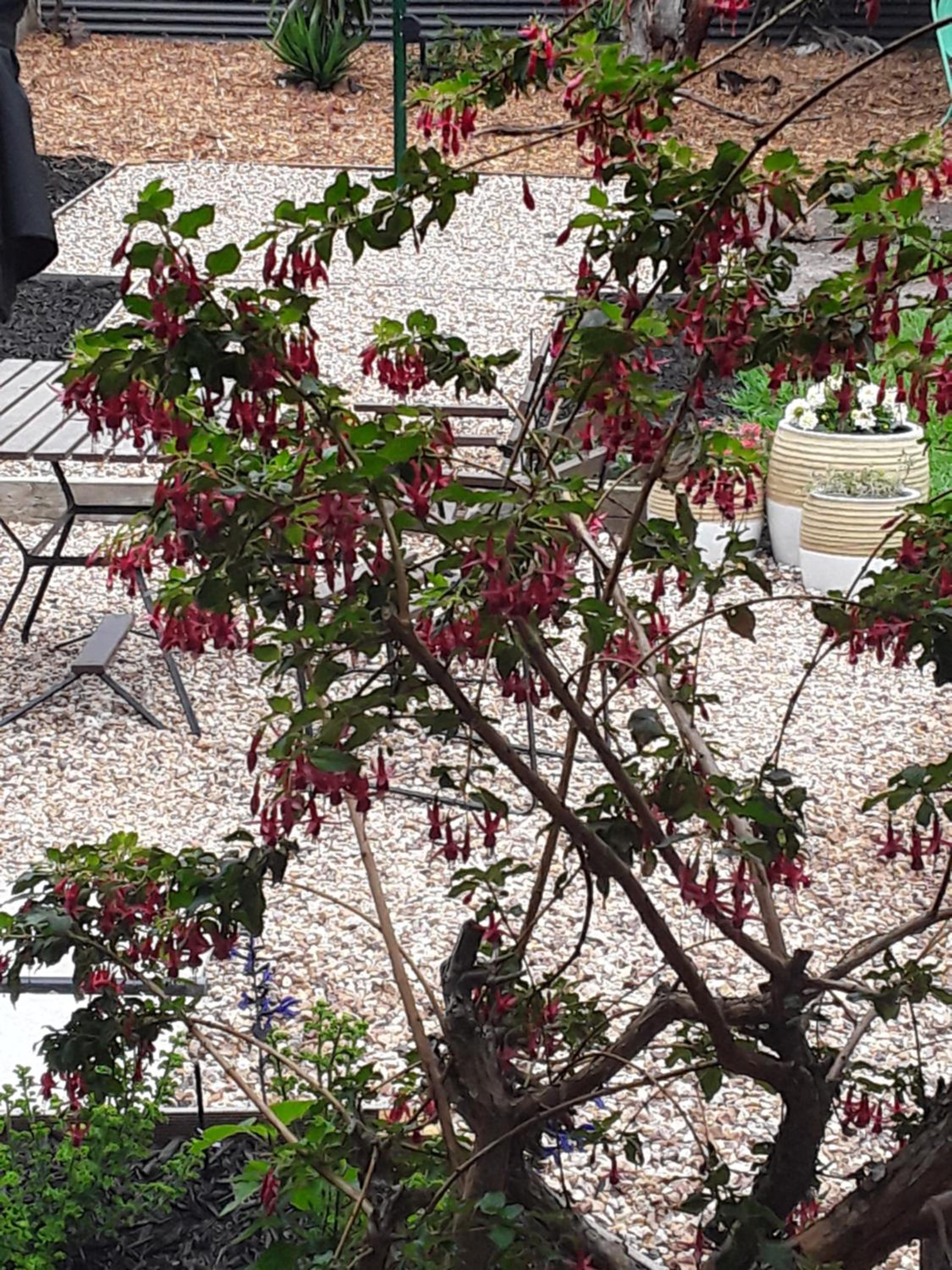 other