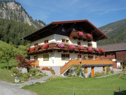 Oberschlassbergbauer, Wald im Pinzgau – photo 3