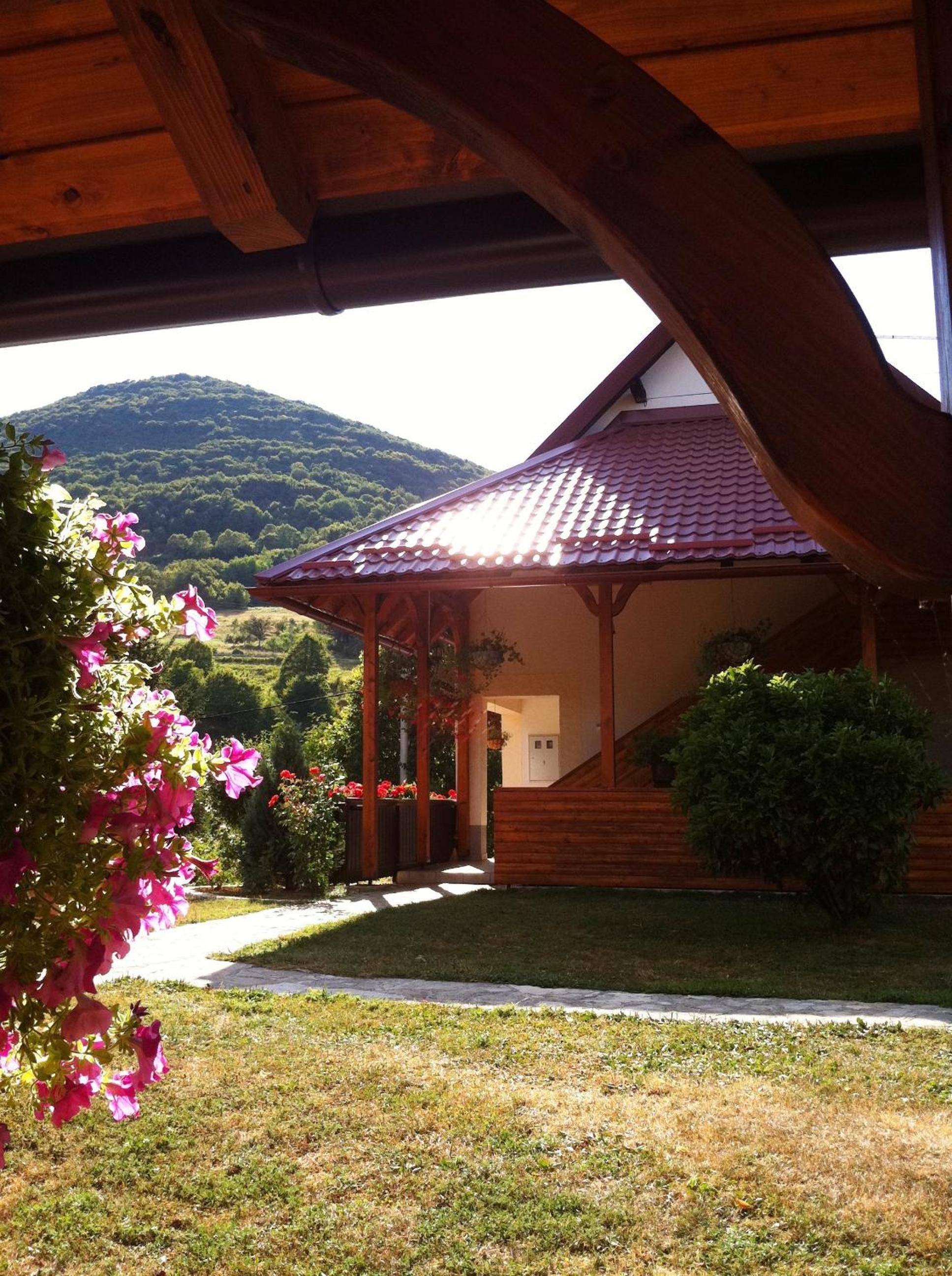 Apartments Renata view 3