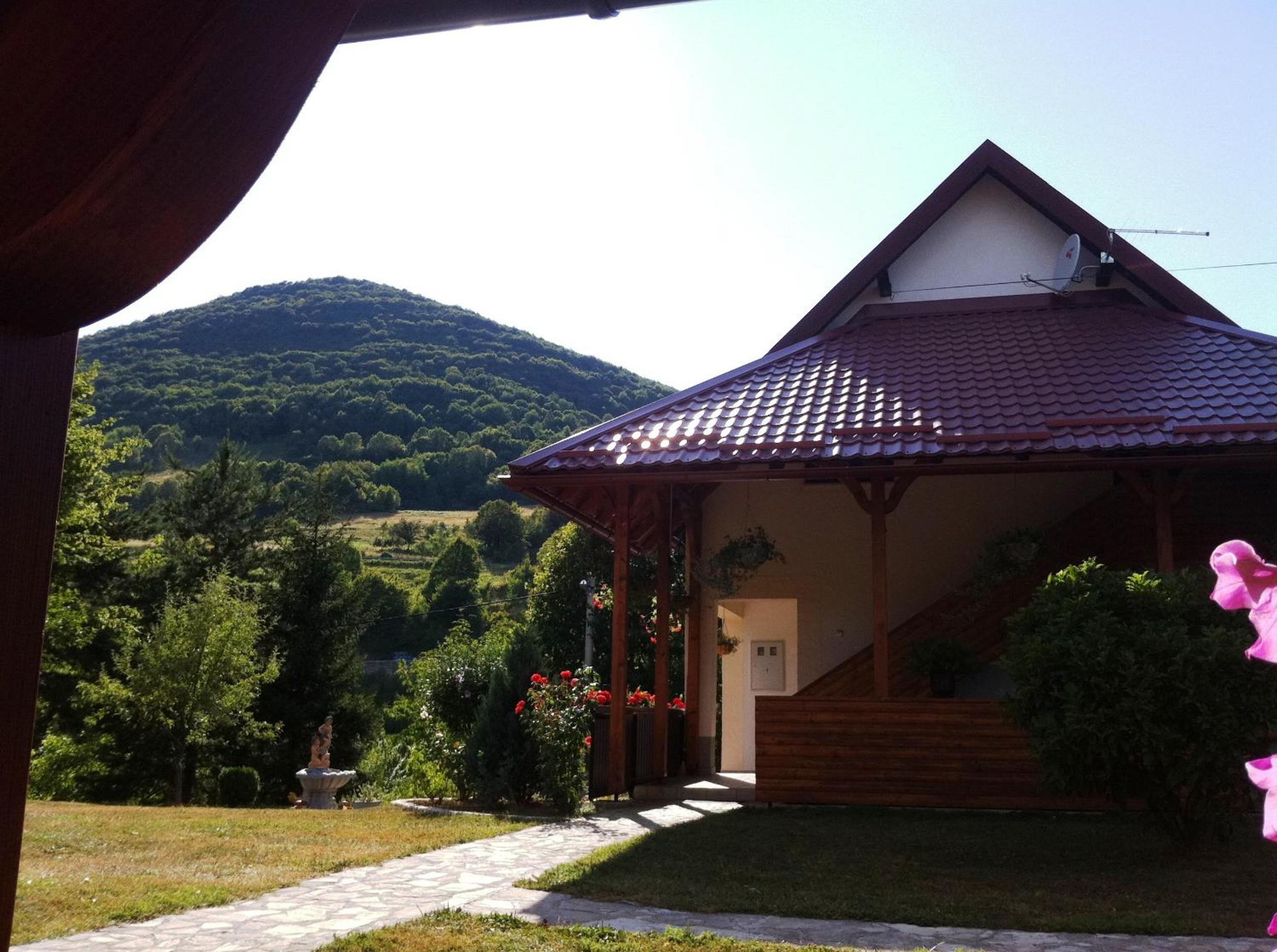 Photo 7
