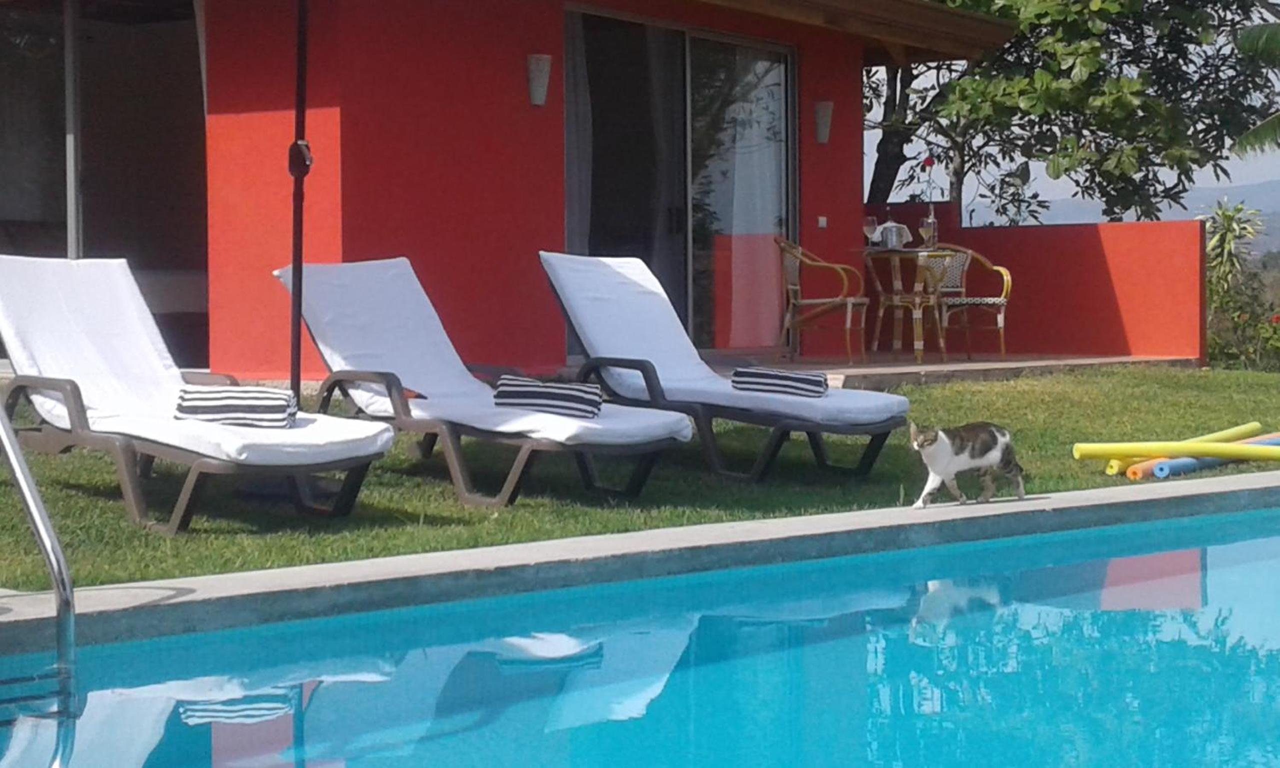 El nido rojo