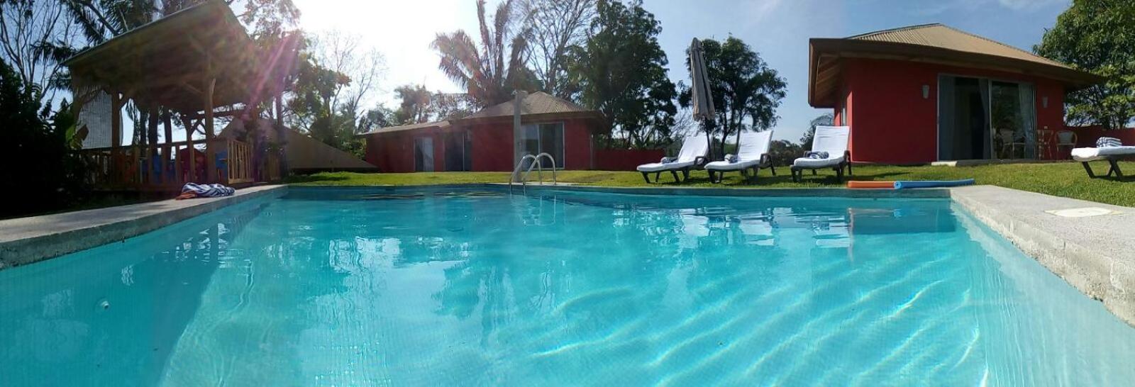 El nido rojo