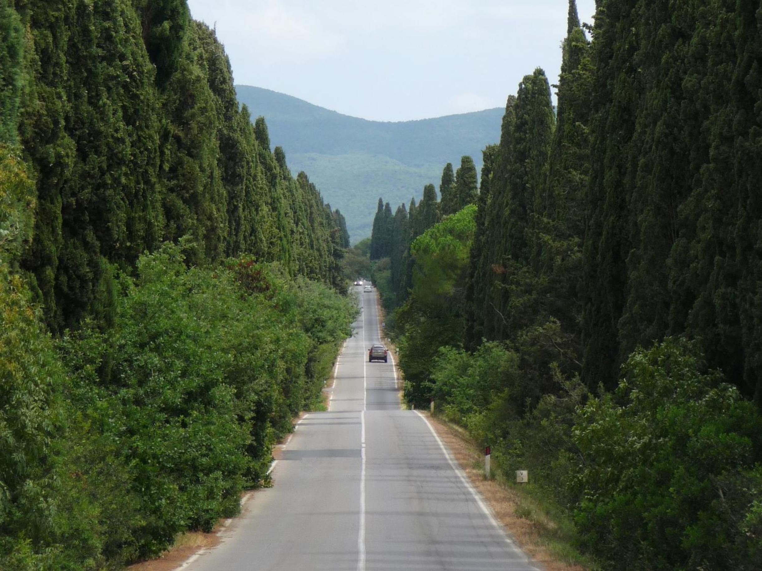 Photo 50