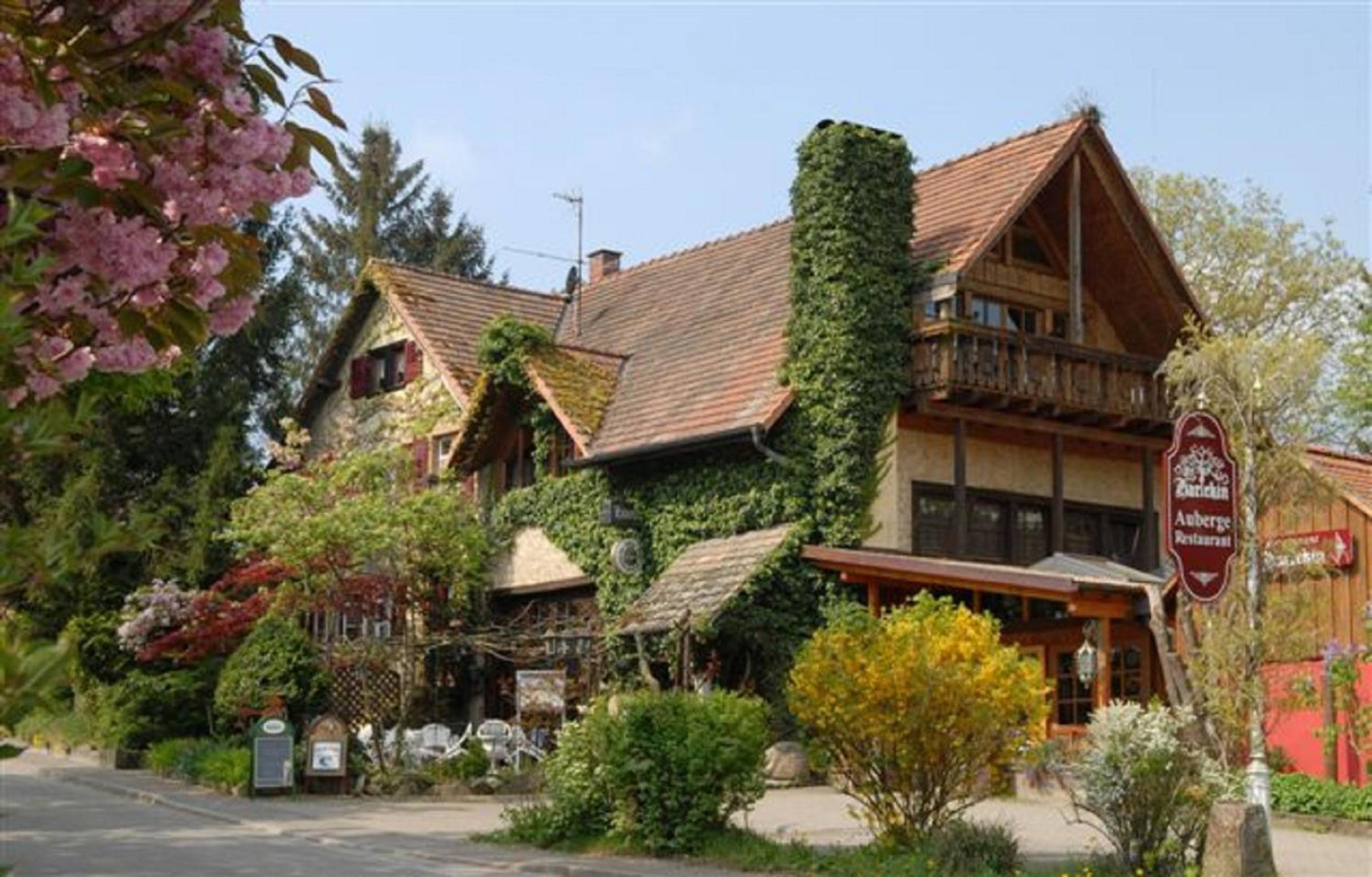 Alte Schreinerei-Auberge Harlekin view 2