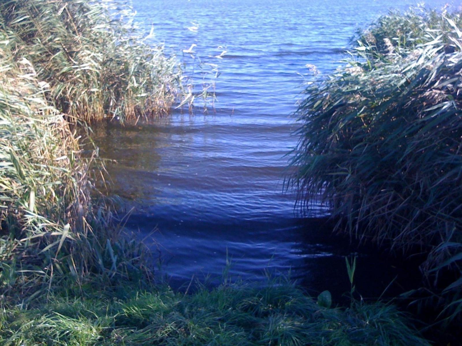 Photo 50