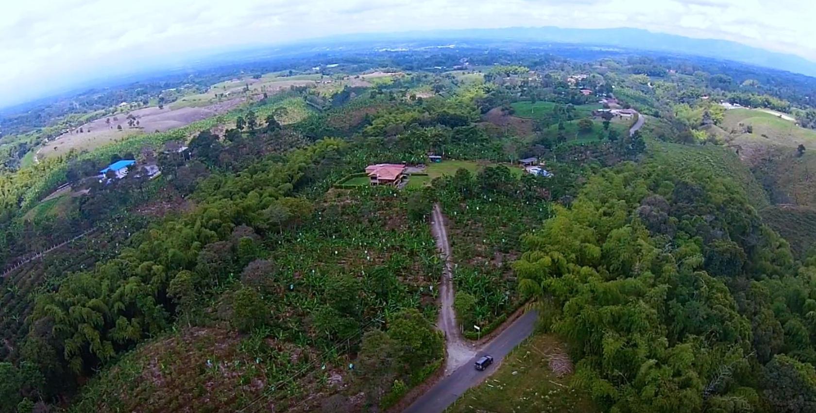 Finca La Bambusa