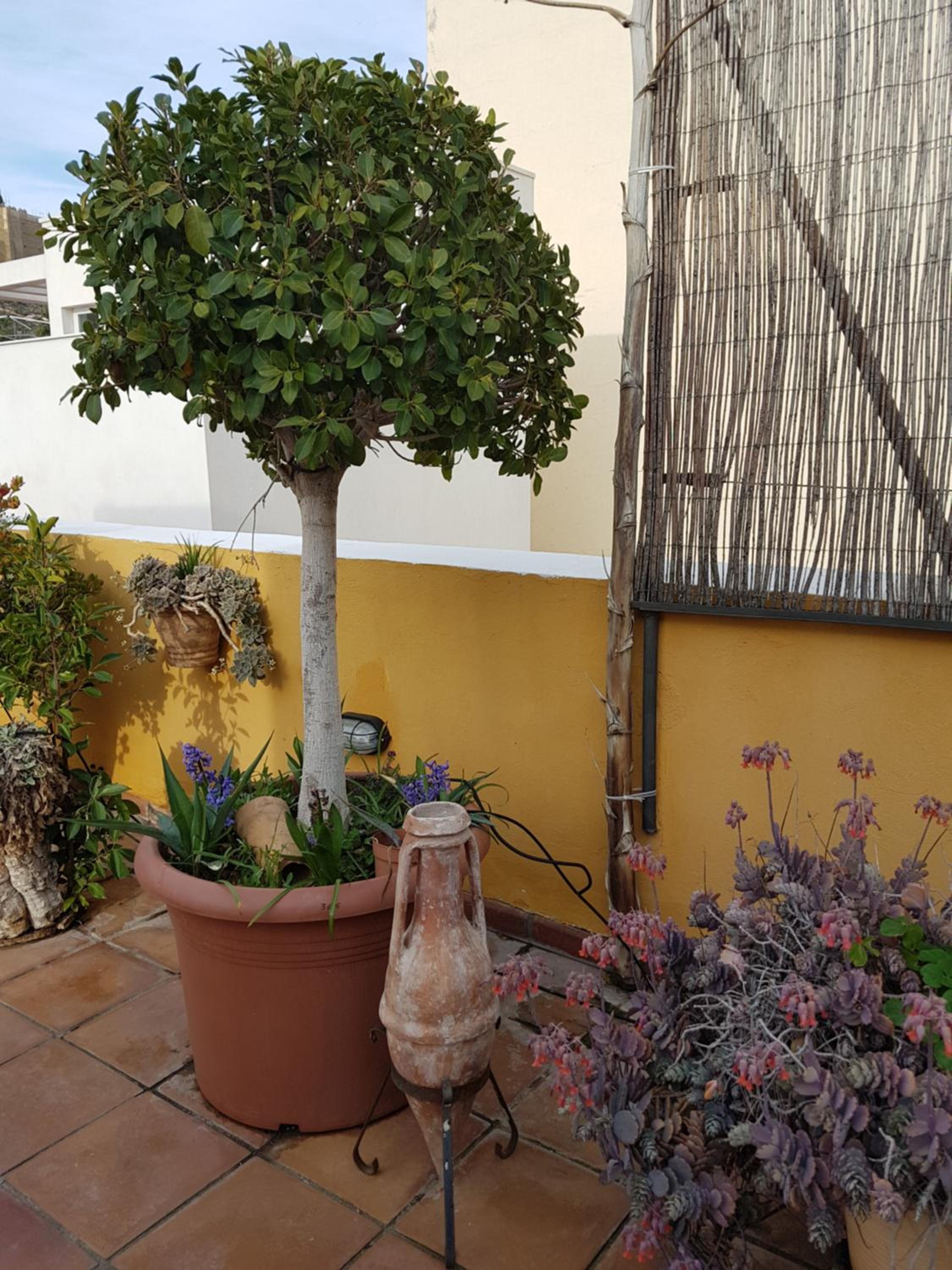 Photo 33
