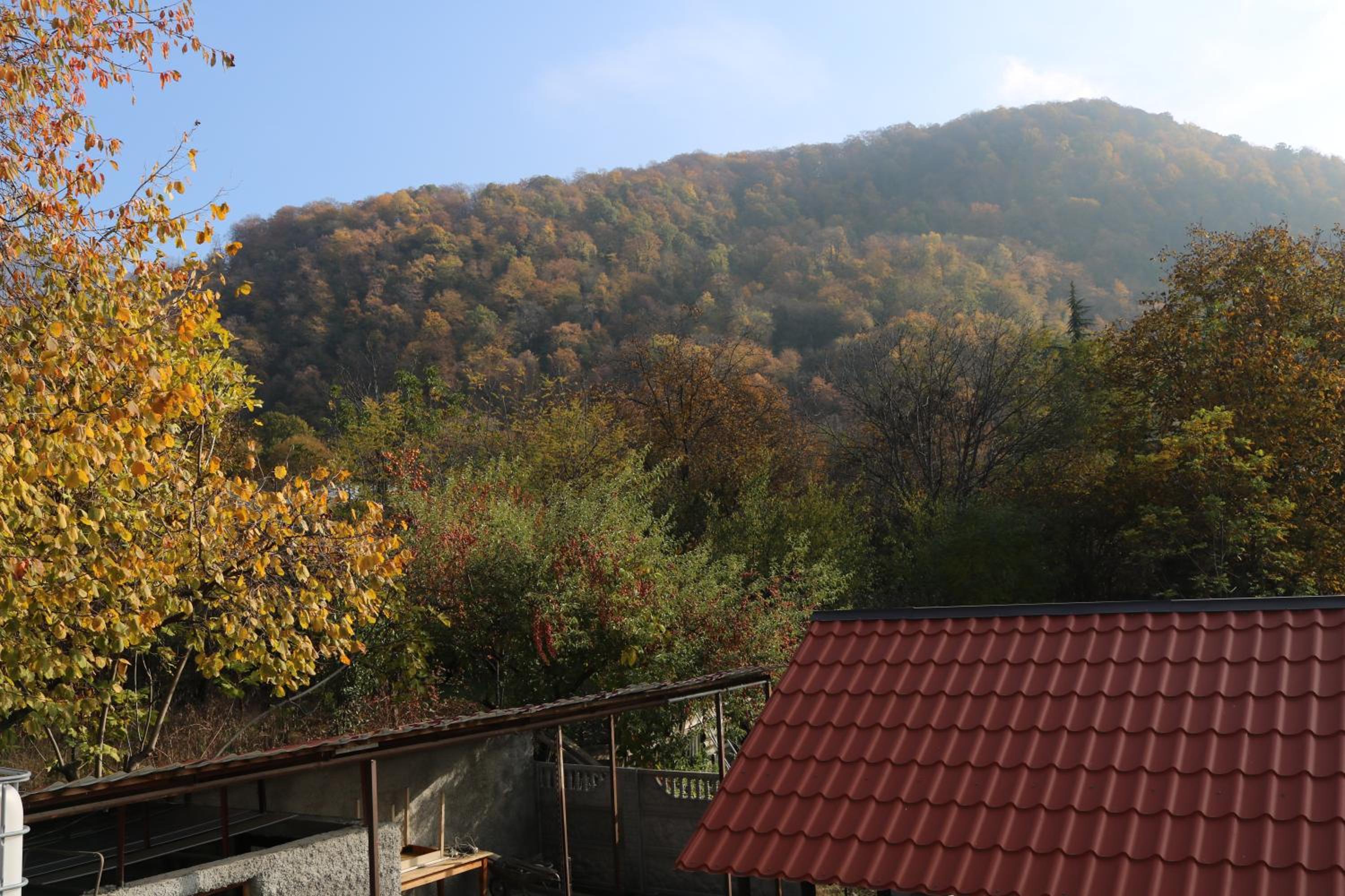 Guesthouse Vashlovani