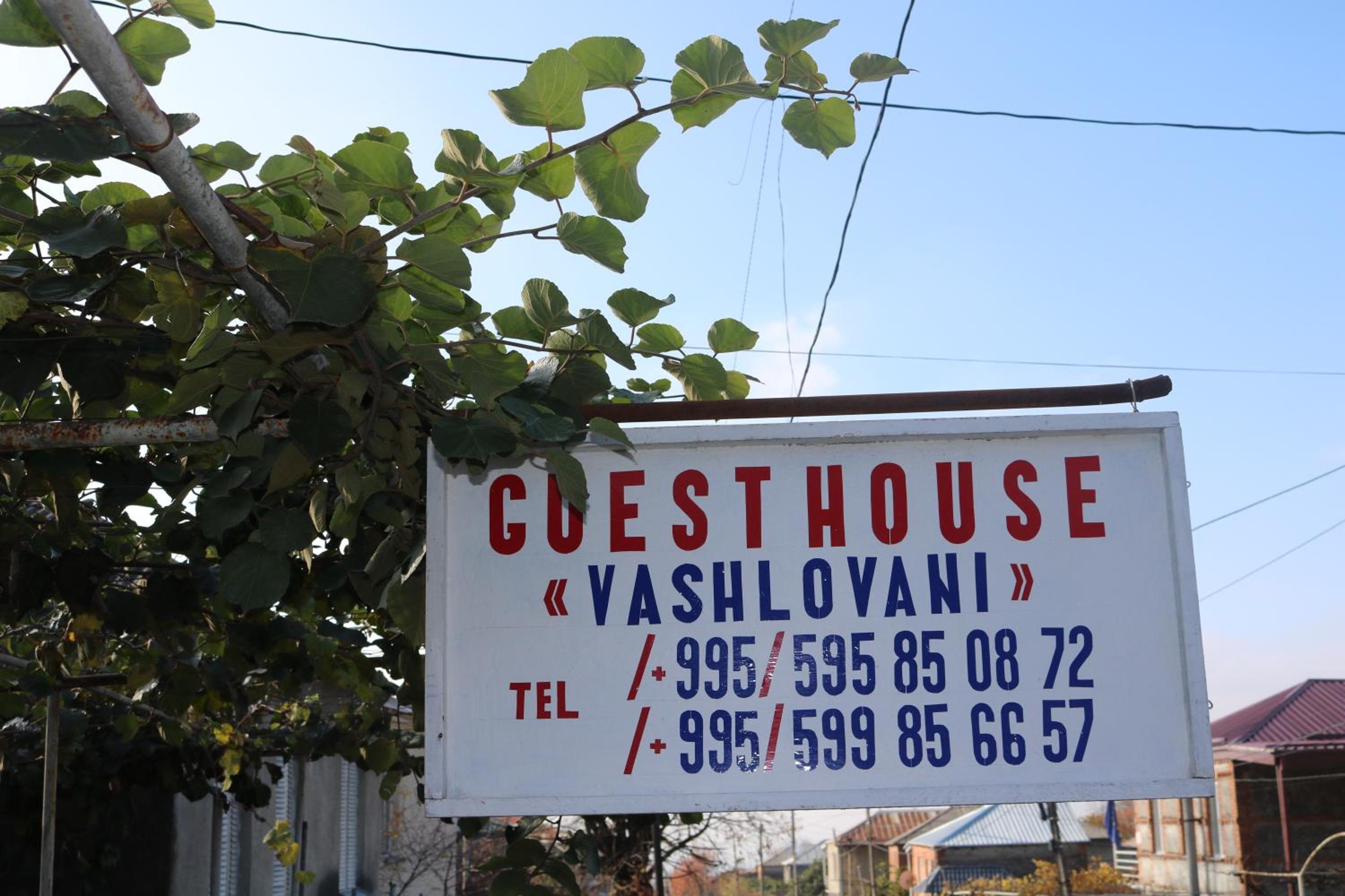 Guesthouse Vashlovani