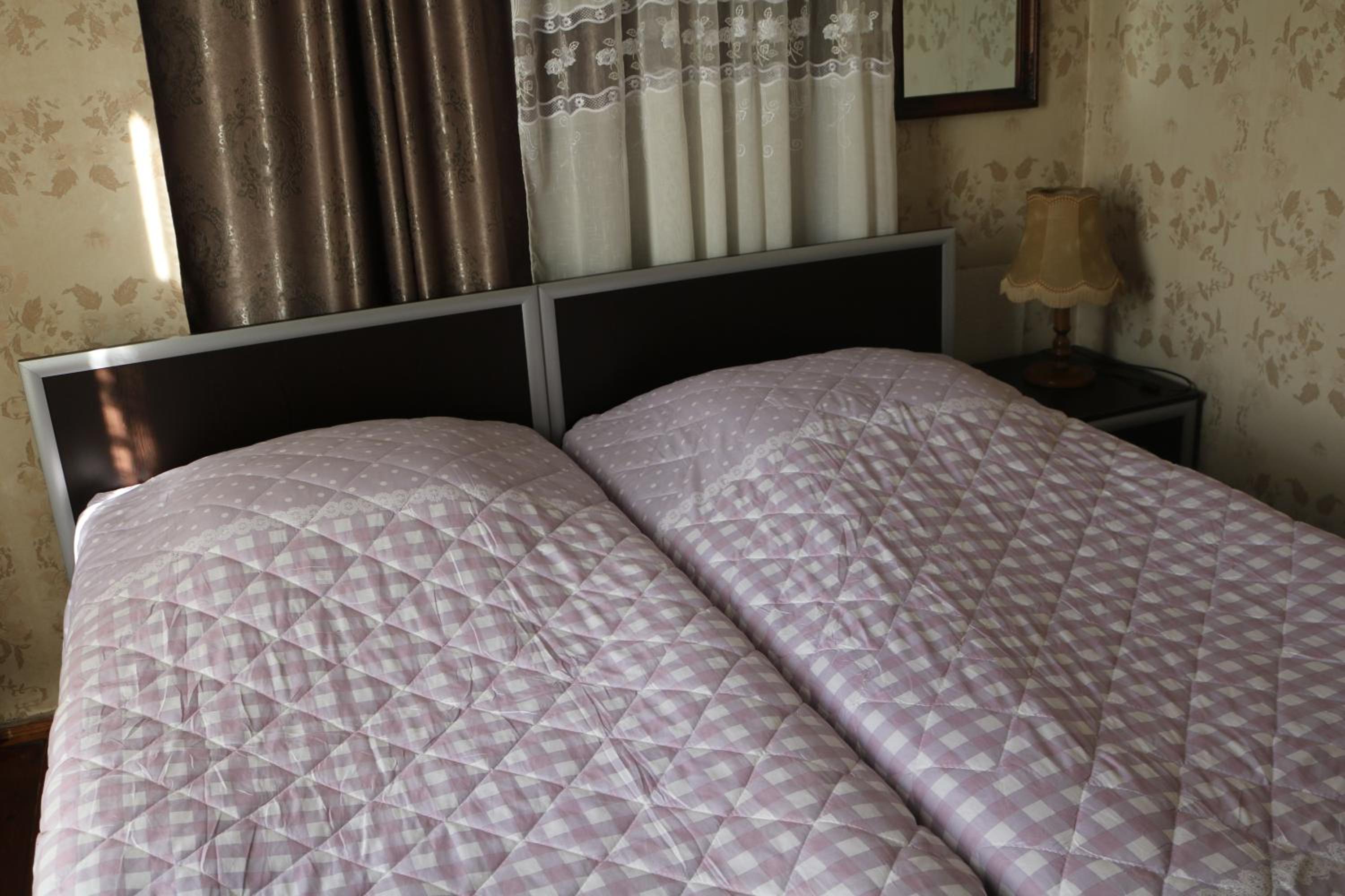Guesthouse Vashlovani